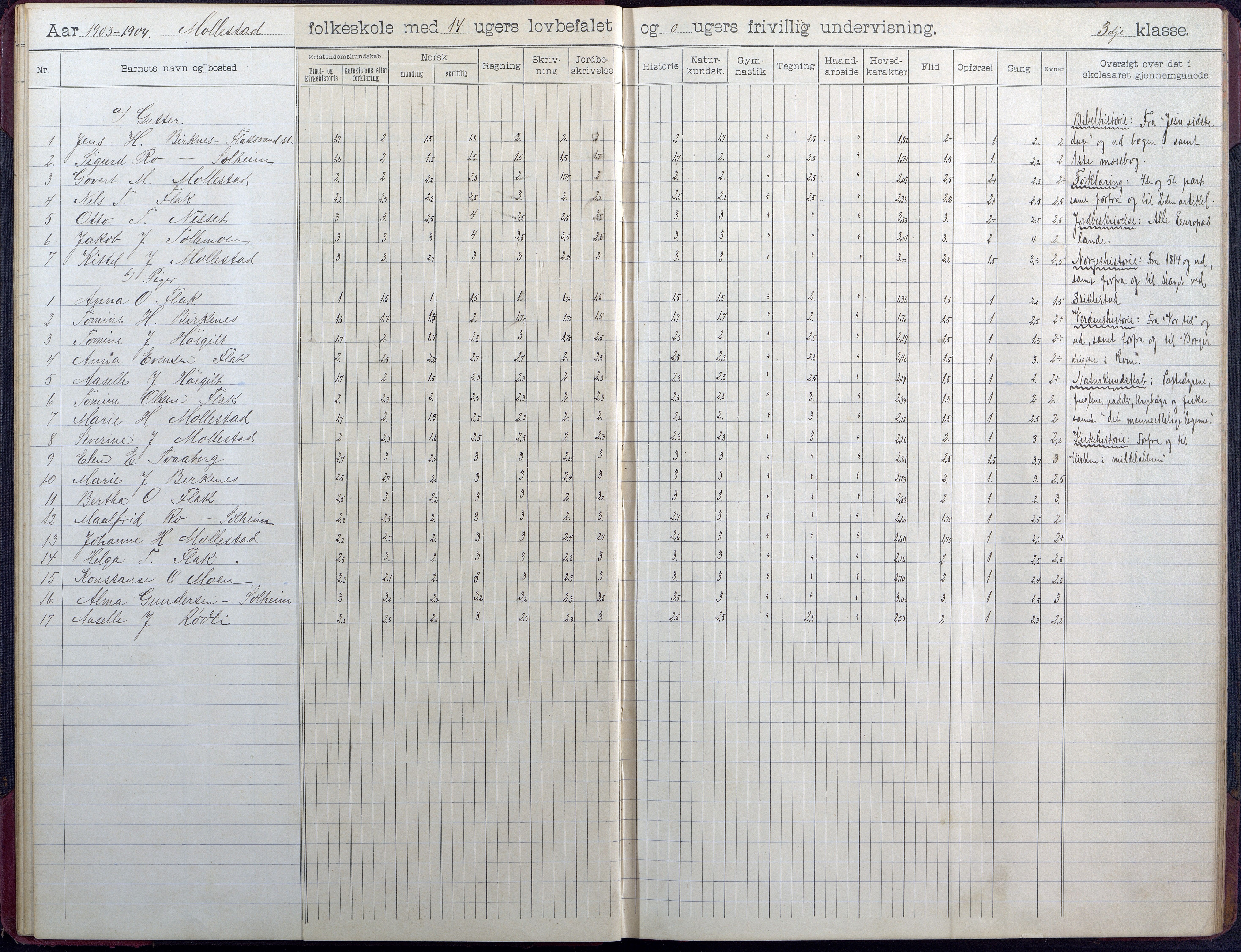 Birkenes kommune, Birkenes krets/Birkeland folkeskole frem til 1991, AAKS/KA0928-550a_91/F02/L0006: Skoleprotokoll, 1901-1915