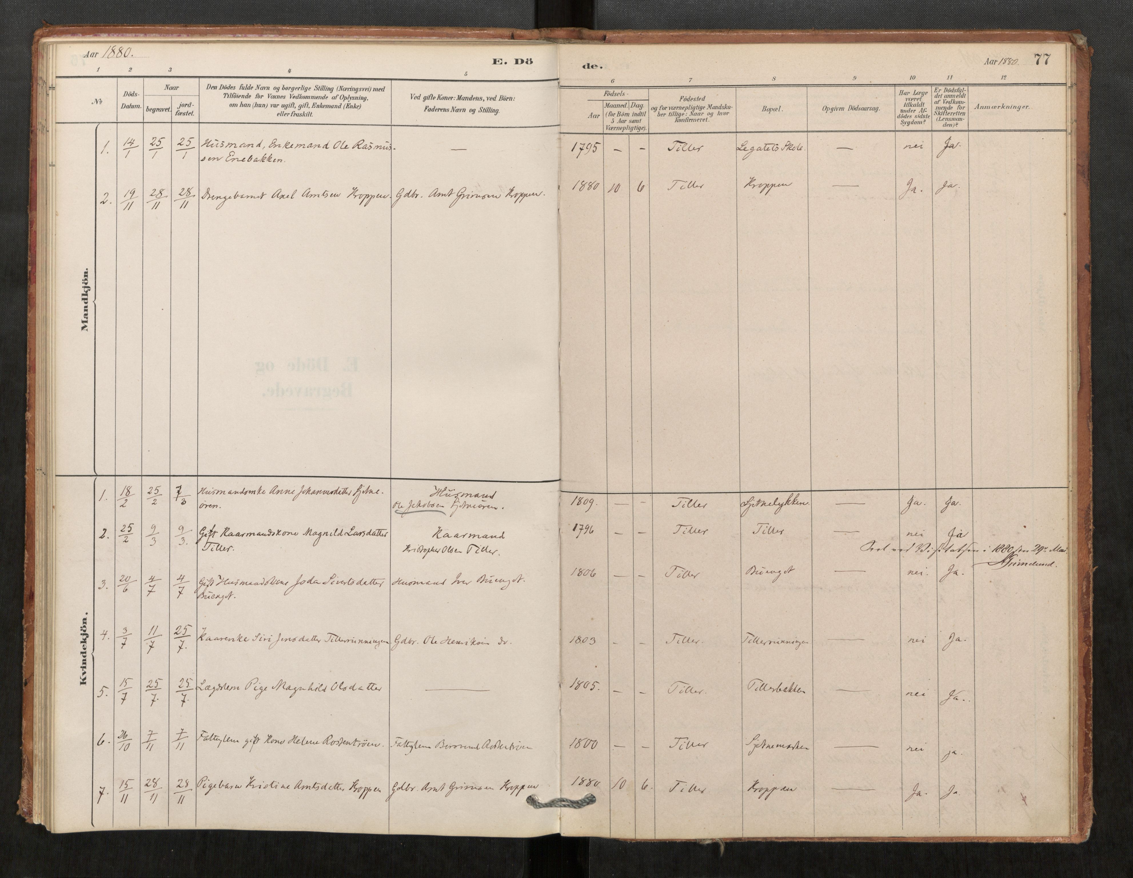 Klæbu sokneprestkontor, AV/SAT-A-1112: Parish register (official) no. 1, 1880-1900, p. 77
