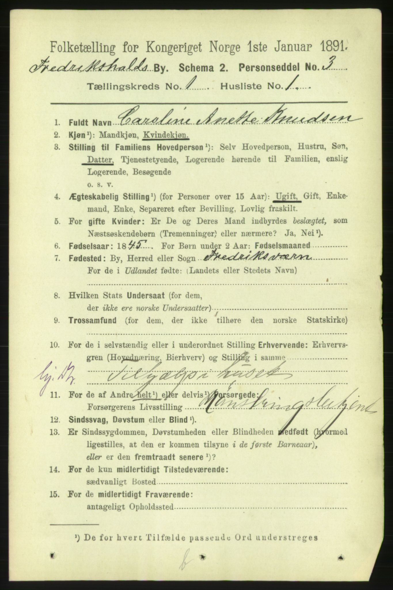 RA, 1891 census for 0101 Fredrikshald, 1891, p. 1961