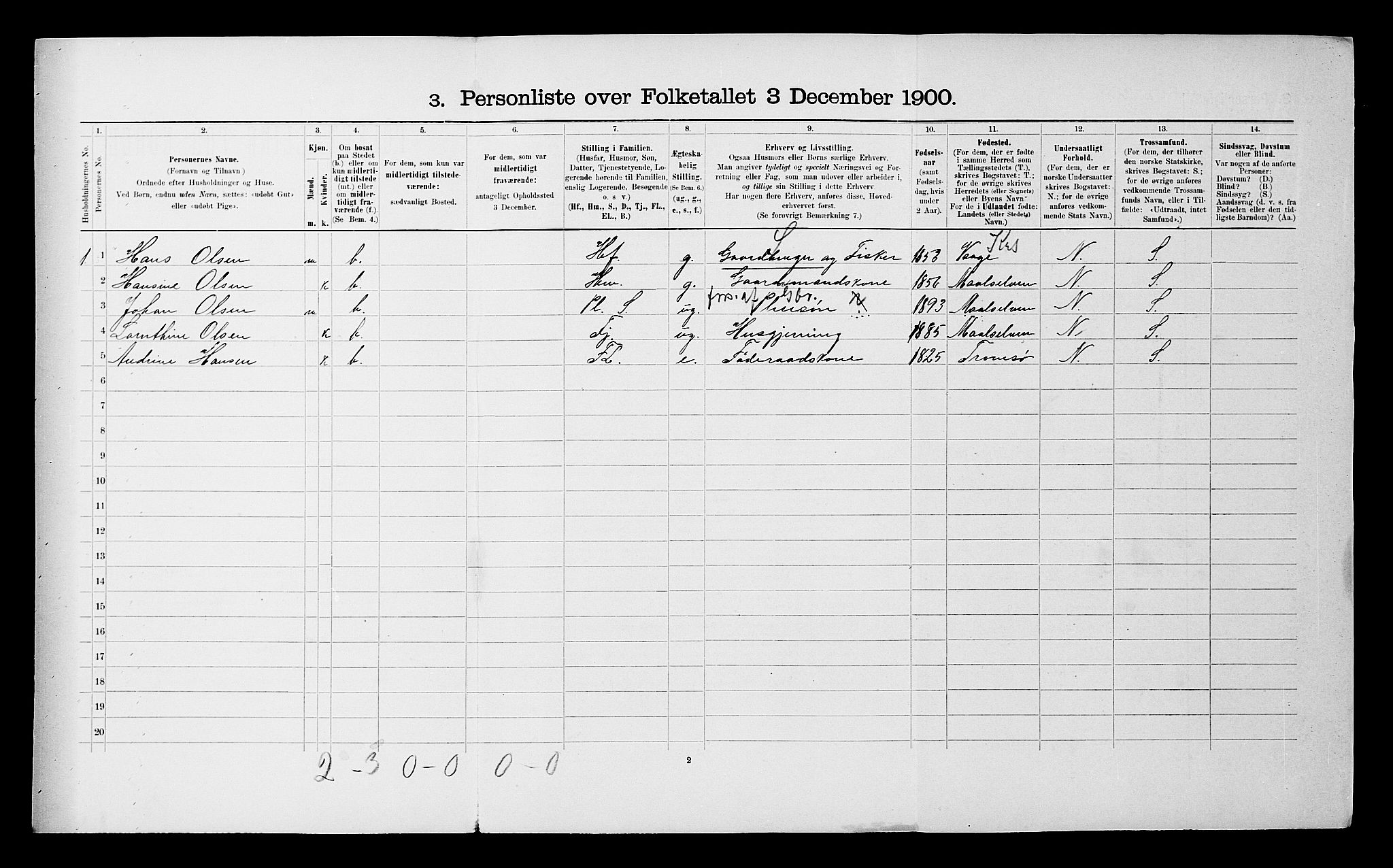 SATØ, 1900 census for Lenvik, 1900, p. 1011