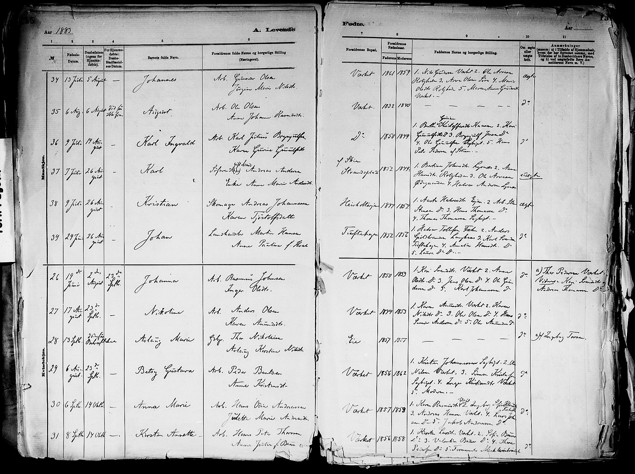 Holla kirkebøker, SAKO/A-272/F/Fa/L0008: Parish register (official) no. 8, 1882-1897, p. 15