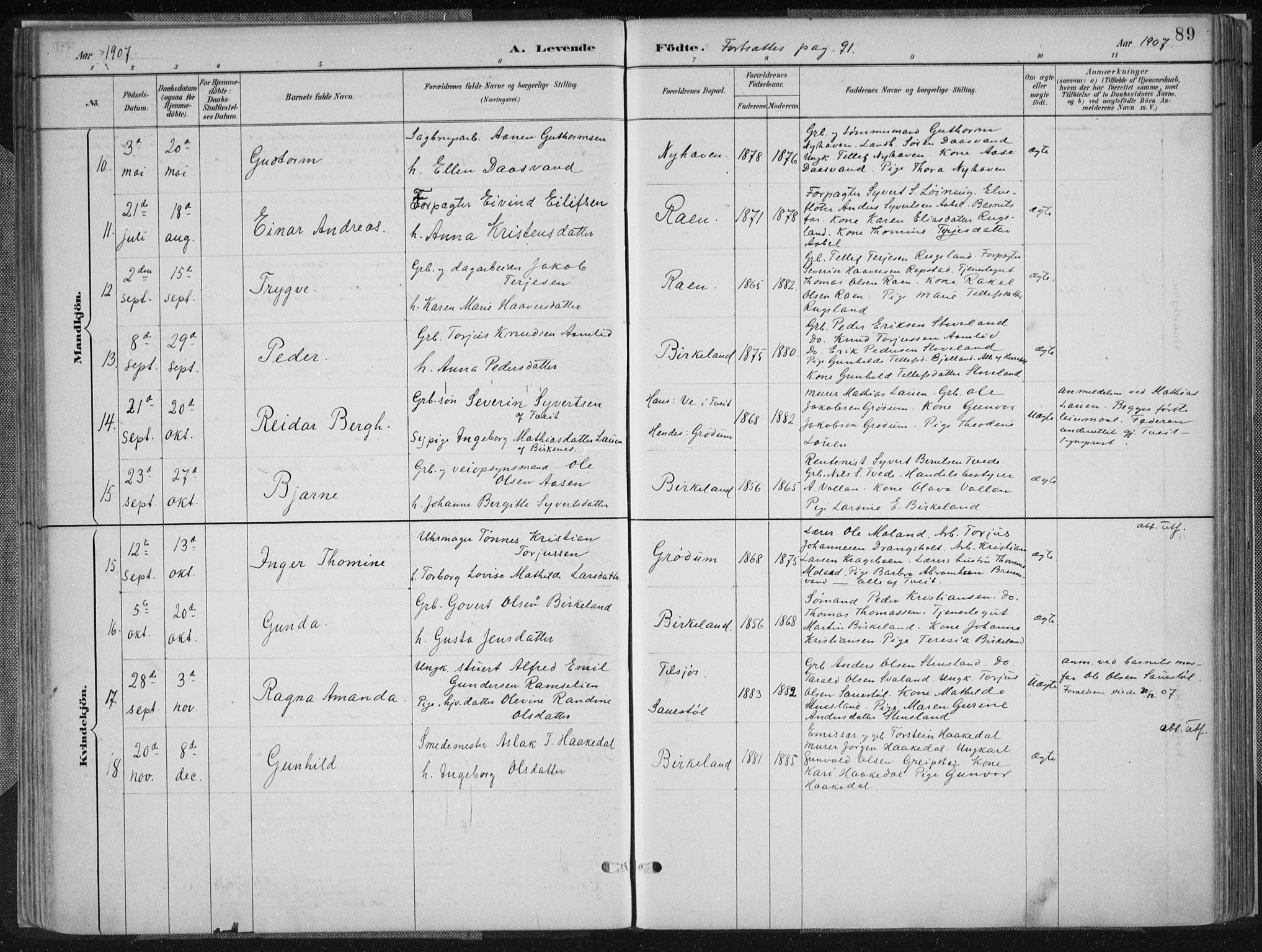Birkenes sokneprestkontor, SAK/1111-0004/F/Fa/L0005: Parish register (official) no. A 5, 1887-1907, p. 89