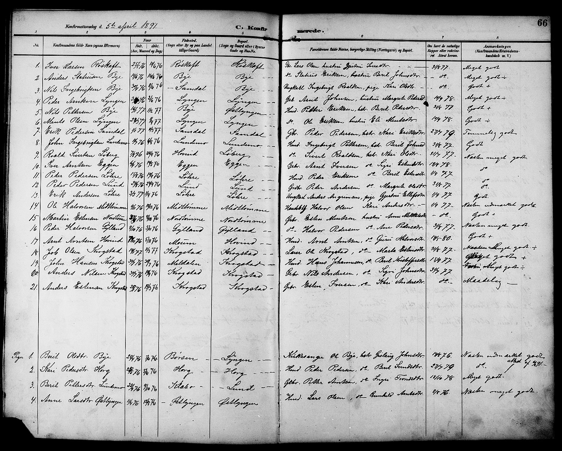 Ministerialprotokoller, klokkerbøker og fødselsregistre - Sør-Trøndelag, SAT/A-1456/692/L1111: Parish register (copy) no. 692C06, 1890-1904, p. 66