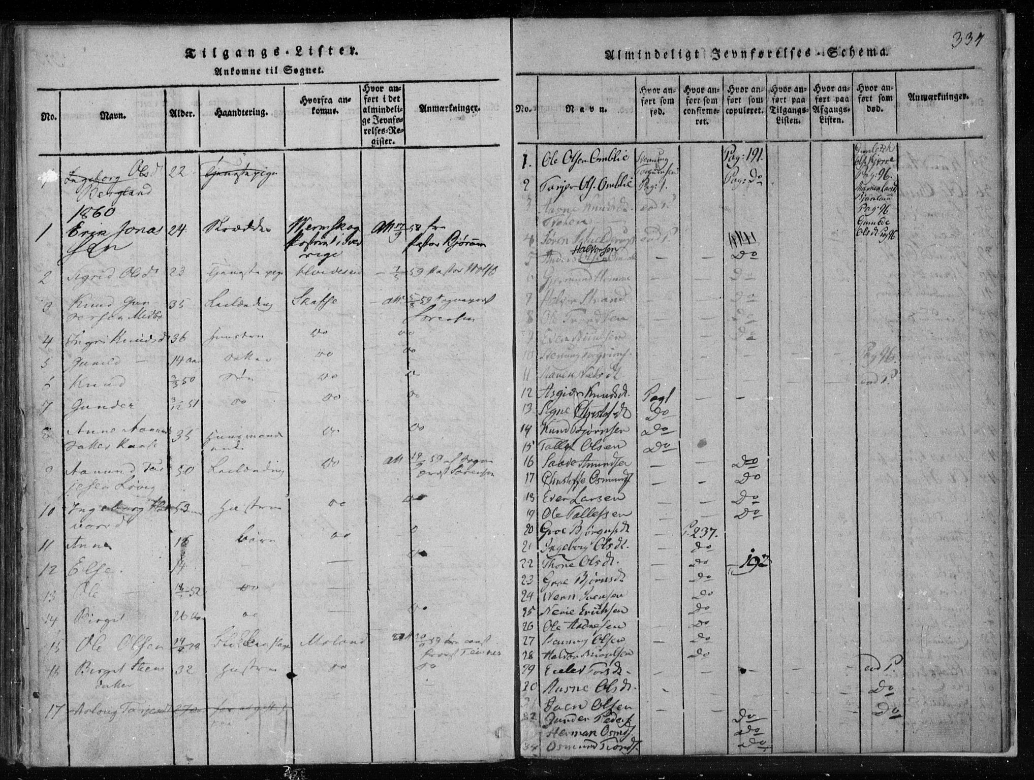 Lårdal kirkebøker, SAKO/A-284/F/Fa/L0005: Parish register (official) no. I 5, 1815-1860, p. 334