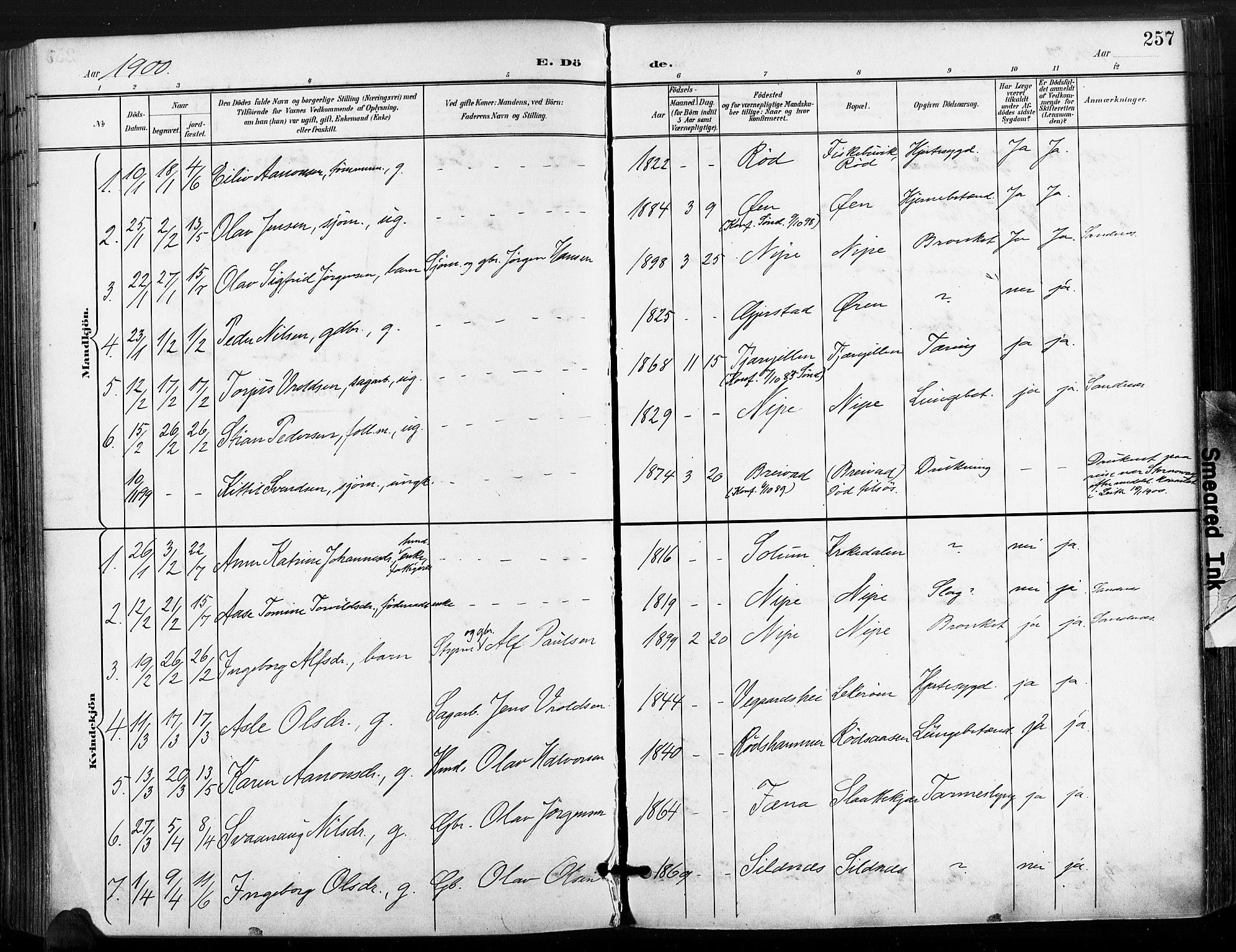Søndeled sokneprestkontor, SAK/1111-0038/F/Fa/L0006: Parish register (official) no. A 6, 1900-1922, p. 257