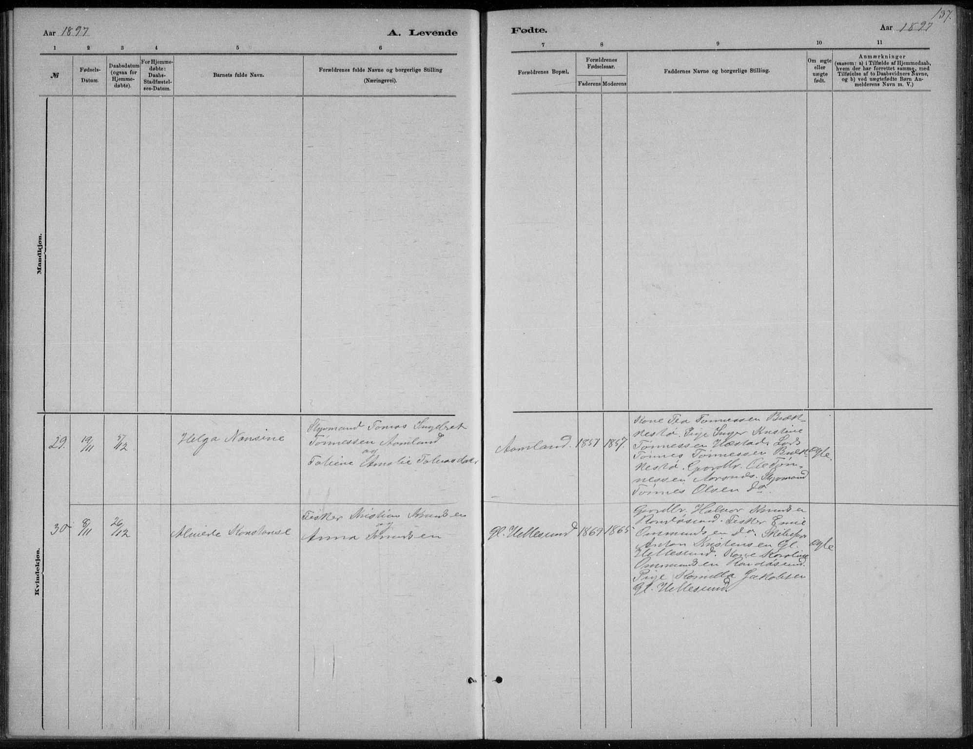 Høvåg sokneprestkontor, AV/SAK-1111-0025/F/Fb/L0004: Parish register (copy) no. B 4, 1883-1898, p. 137