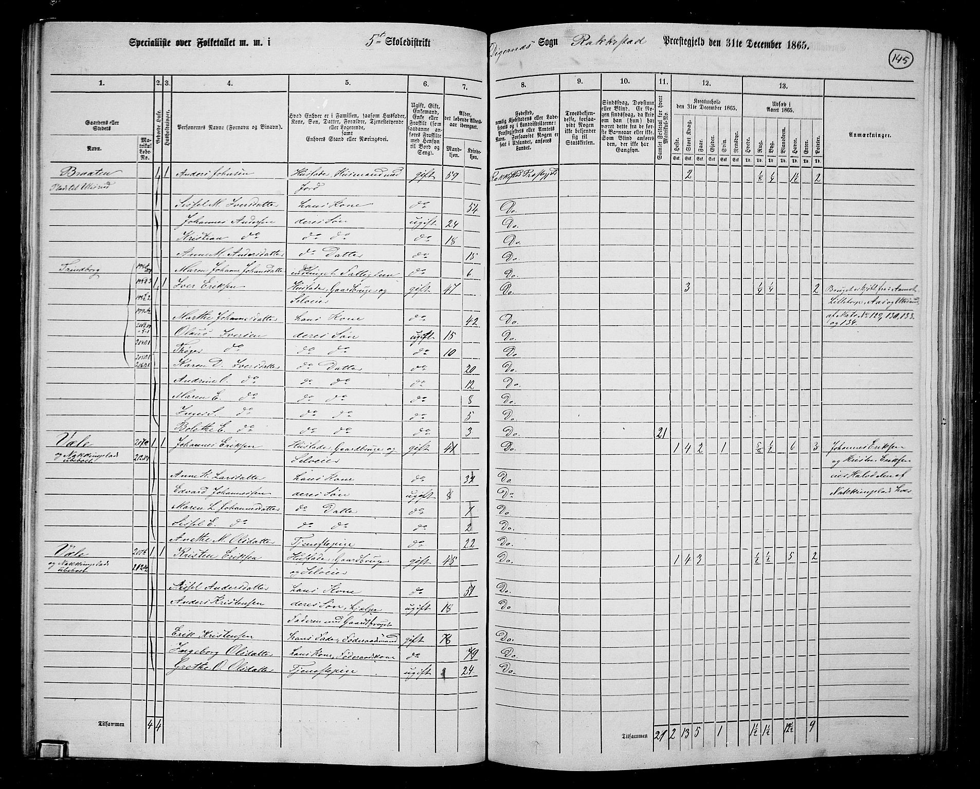 RA, 1865 census for Rakkestad, 1865, p. 143