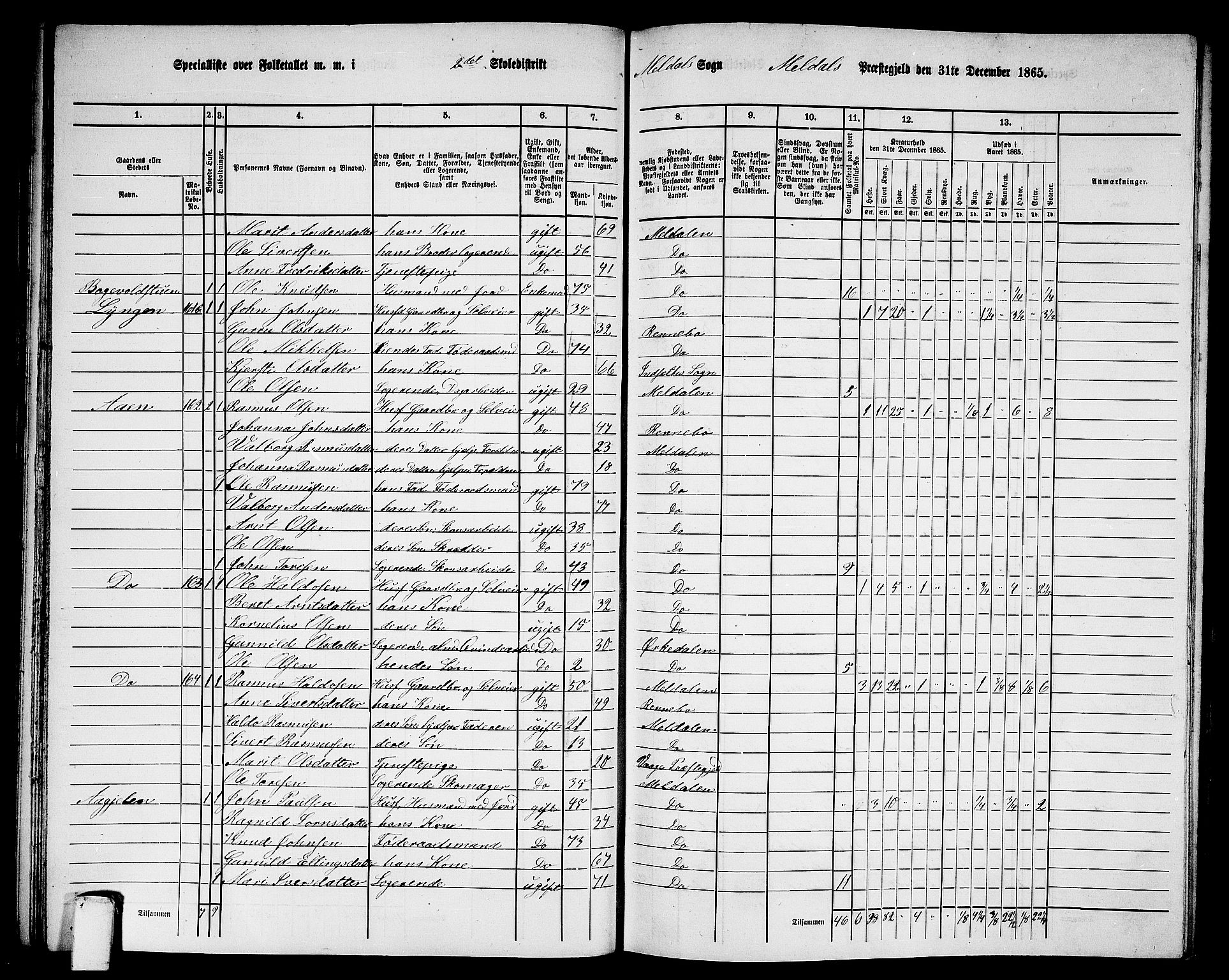 RA, 1865 census for Meldal, 1865, p. 56