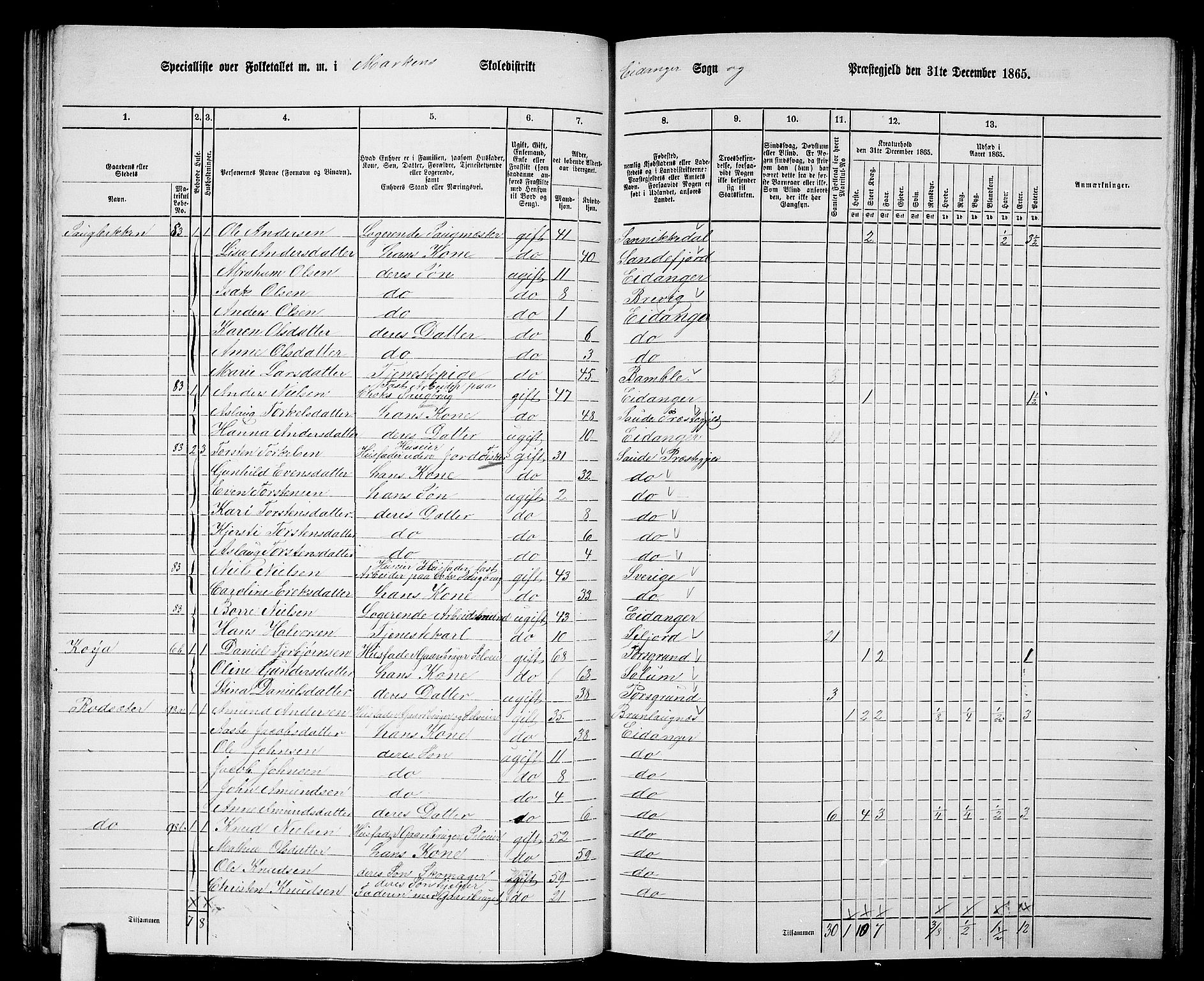 RA, 1865 census for Eidanger, 1865, p. 40