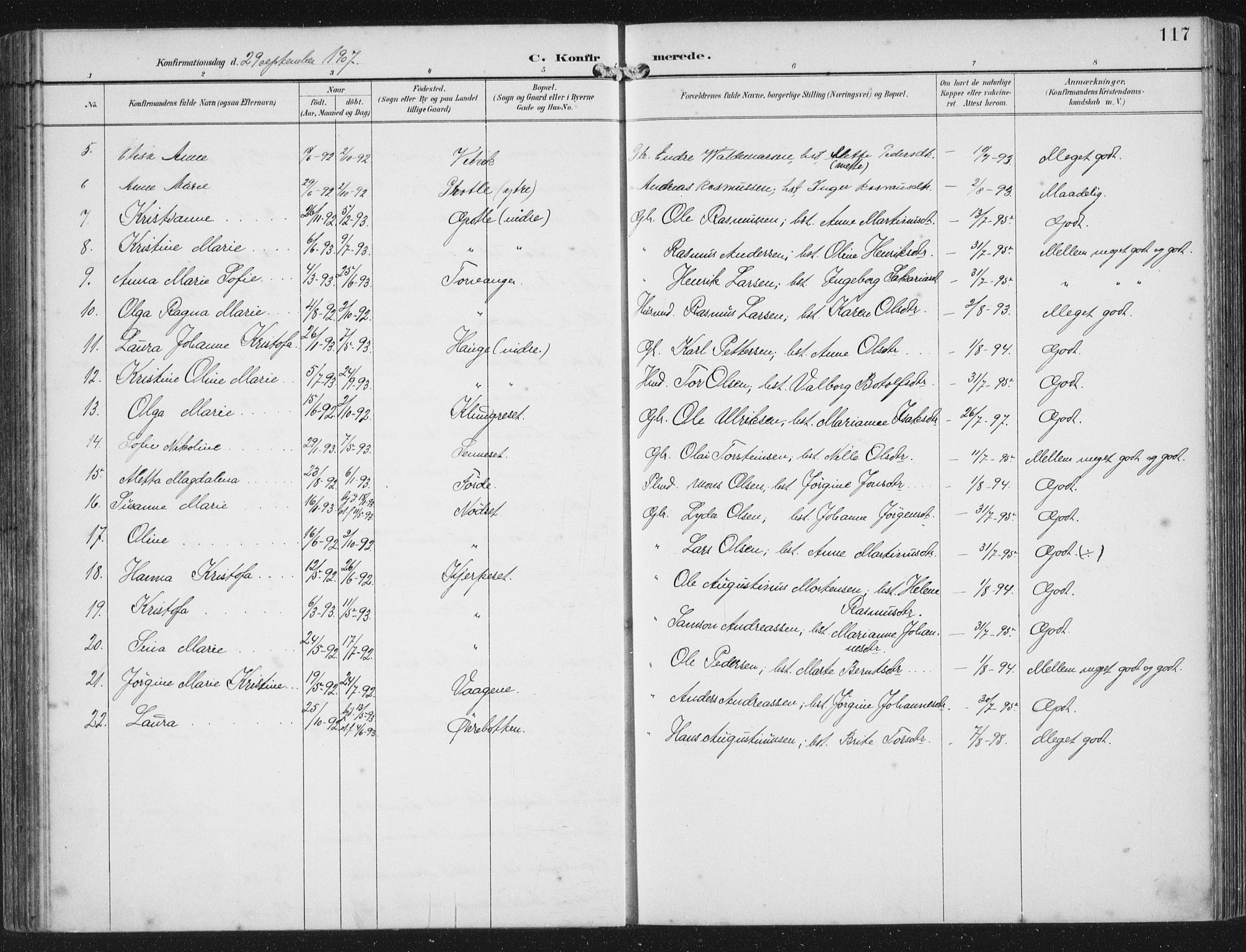 Bremanger sokneprestembete, AV/SAB-A-82201/H/Haa/Haab/L0002: Parish register (official) no. B  2, 1896-1908, p. 117