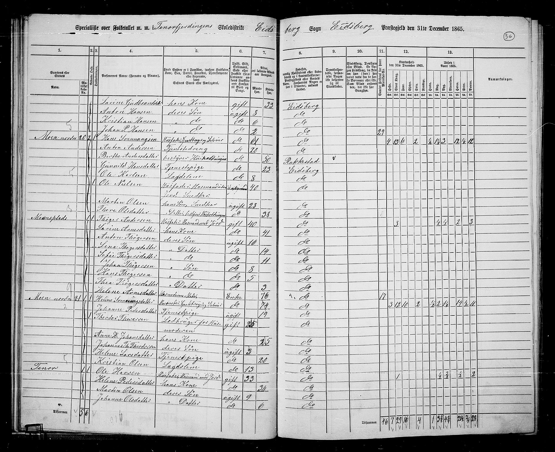 RA, 1865 census for Eidsberg, 1865, p. 31