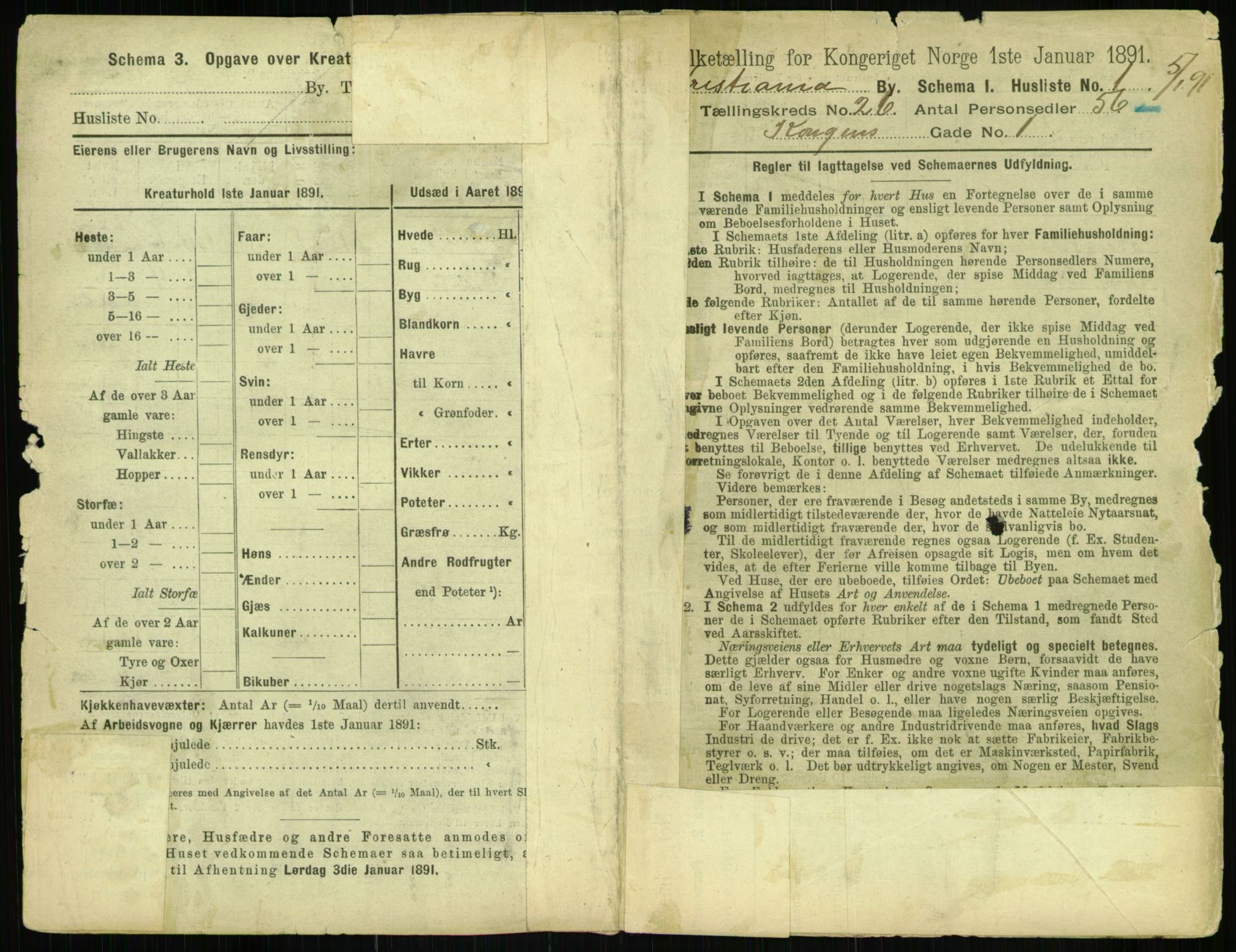 RA, 1891 census for 0301 Kristiania, 1891, p. 12990