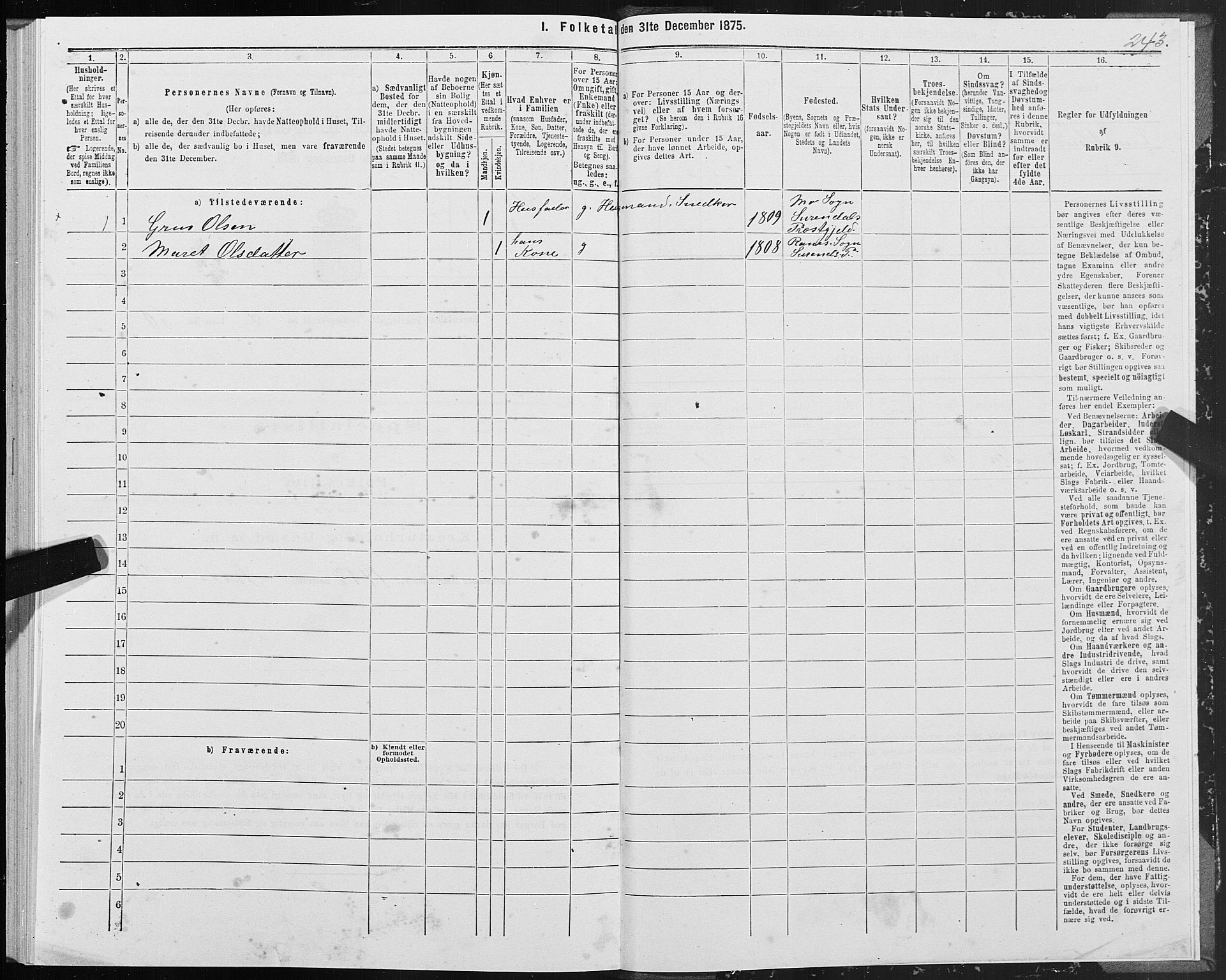 SAT, 1875 census for 1566P Surnadal, 1875, p. 1243