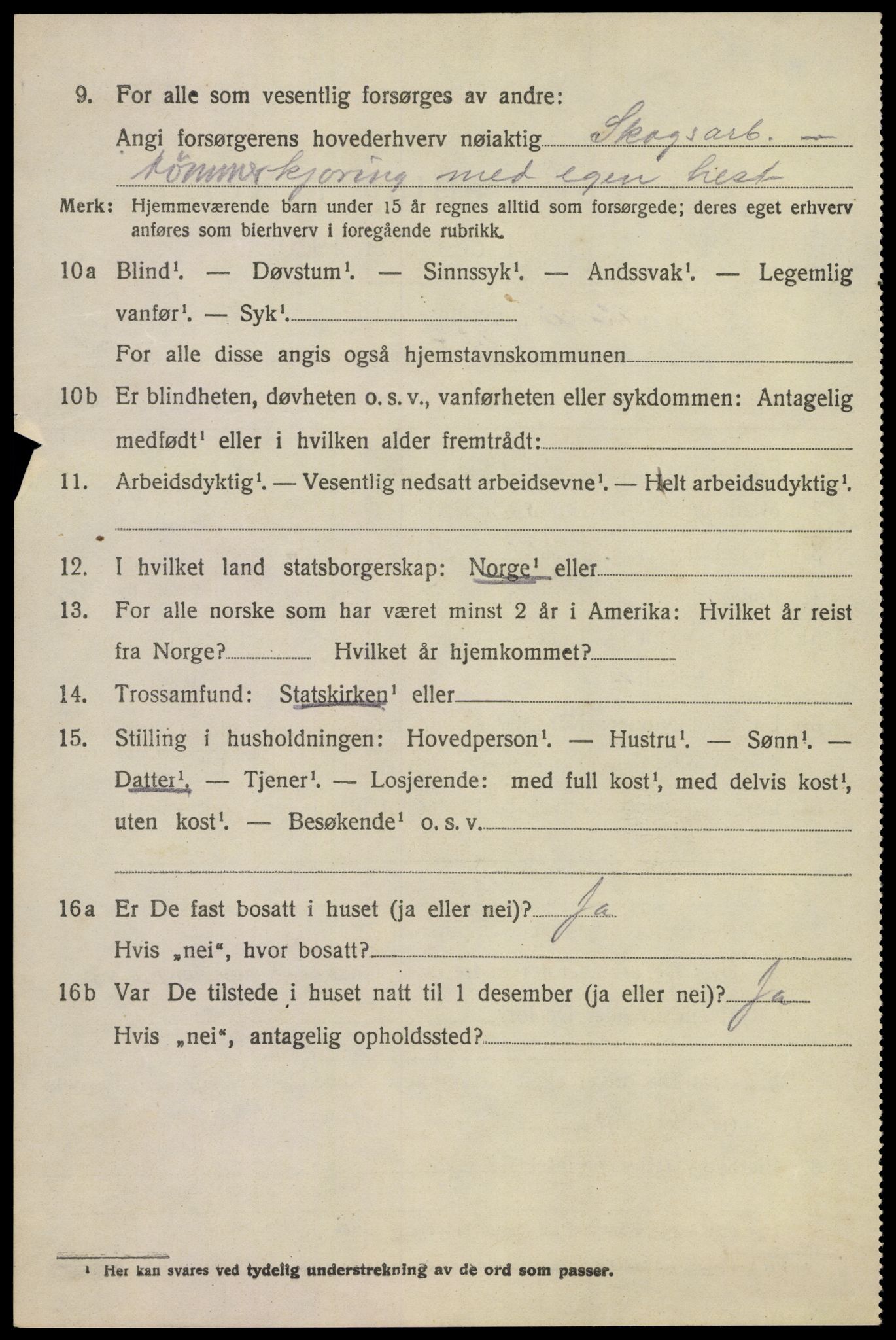 SAKO, 1920 census for Brunlanes, 1920, p. 6124