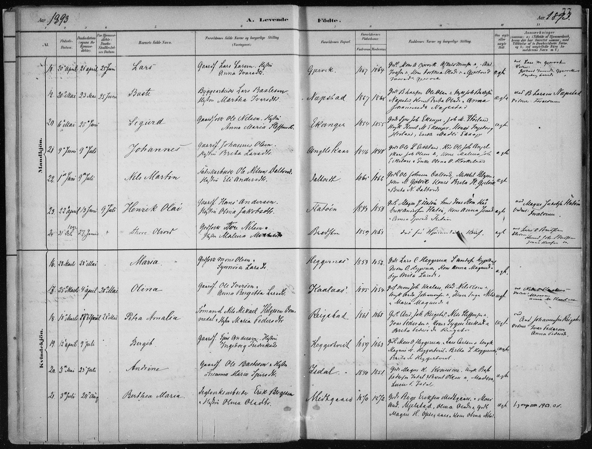 Hamre sokneprestembete, AV/SAB-A-75501/H/Ha/Haa/Haab/L0001: Parish register (official) no. B  1, 1882-1905, p. 77