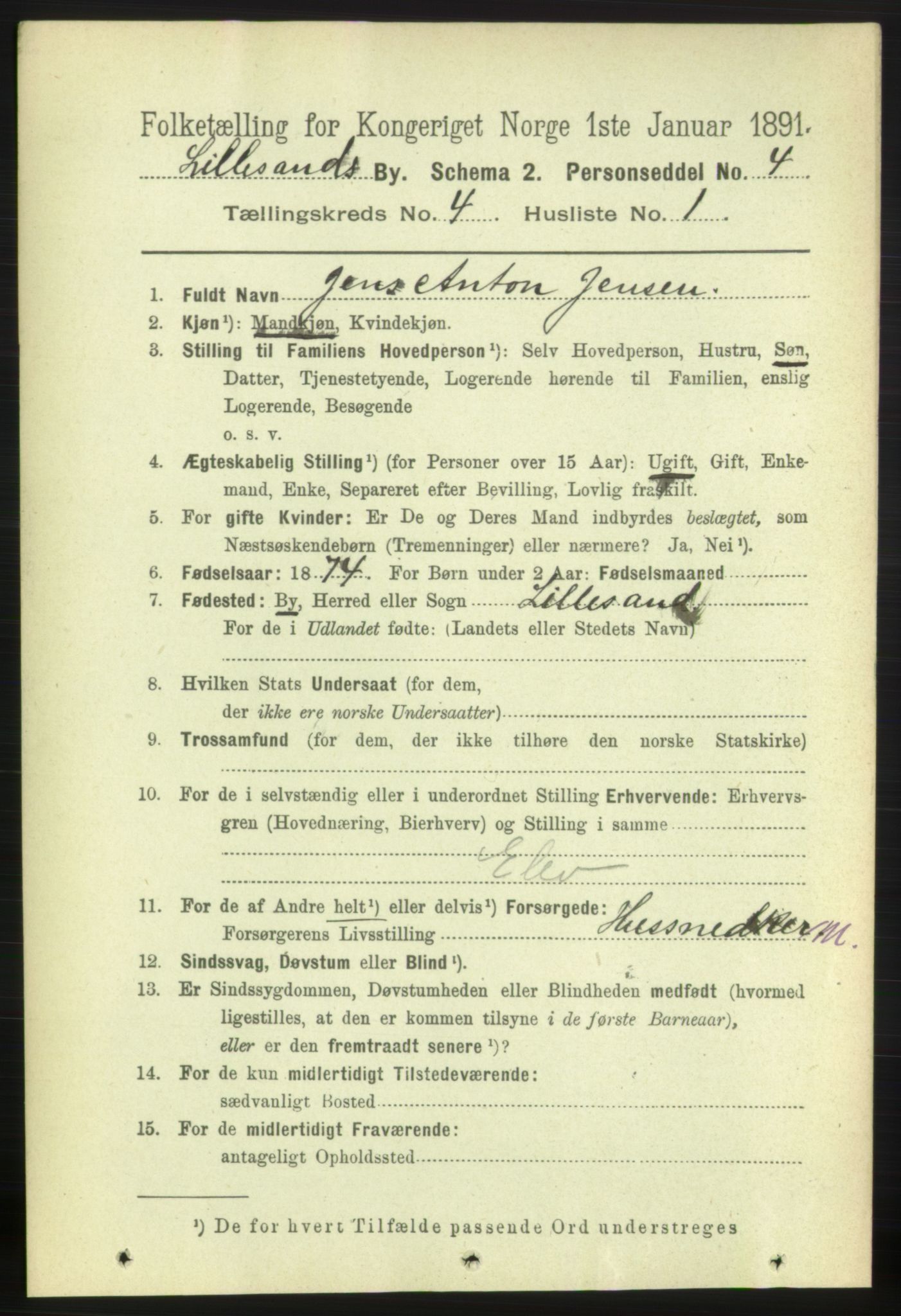 RA, 1891 census for 0905 Lillesand, 1891, p. 1068