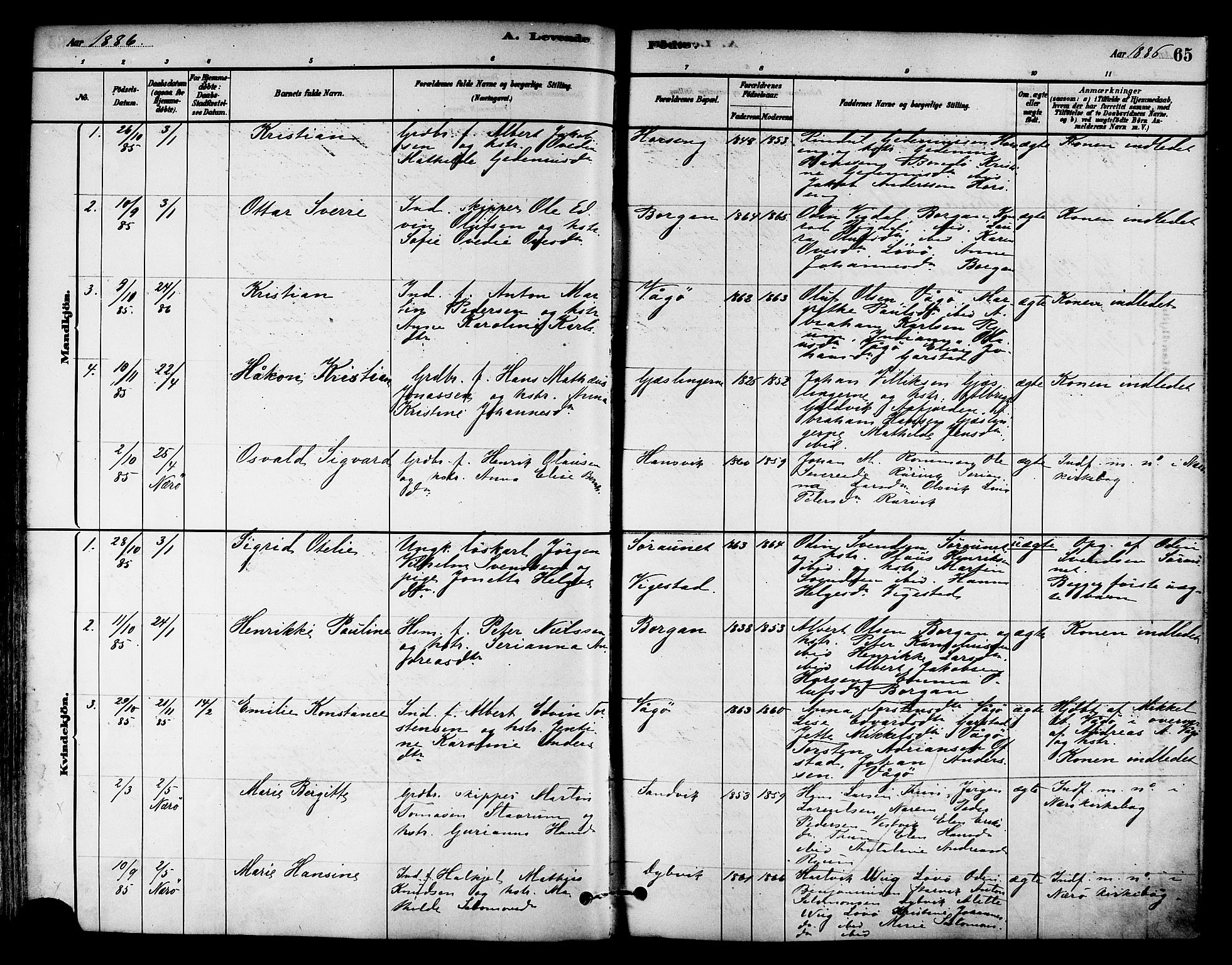 Ministerialprotokoller, klokkerbøker og fødselsregistre - Nord-Trøndelag, SAT/A-1458/786/L0686: Parish register (official) no. 786A02, 1880-1887, p. 65