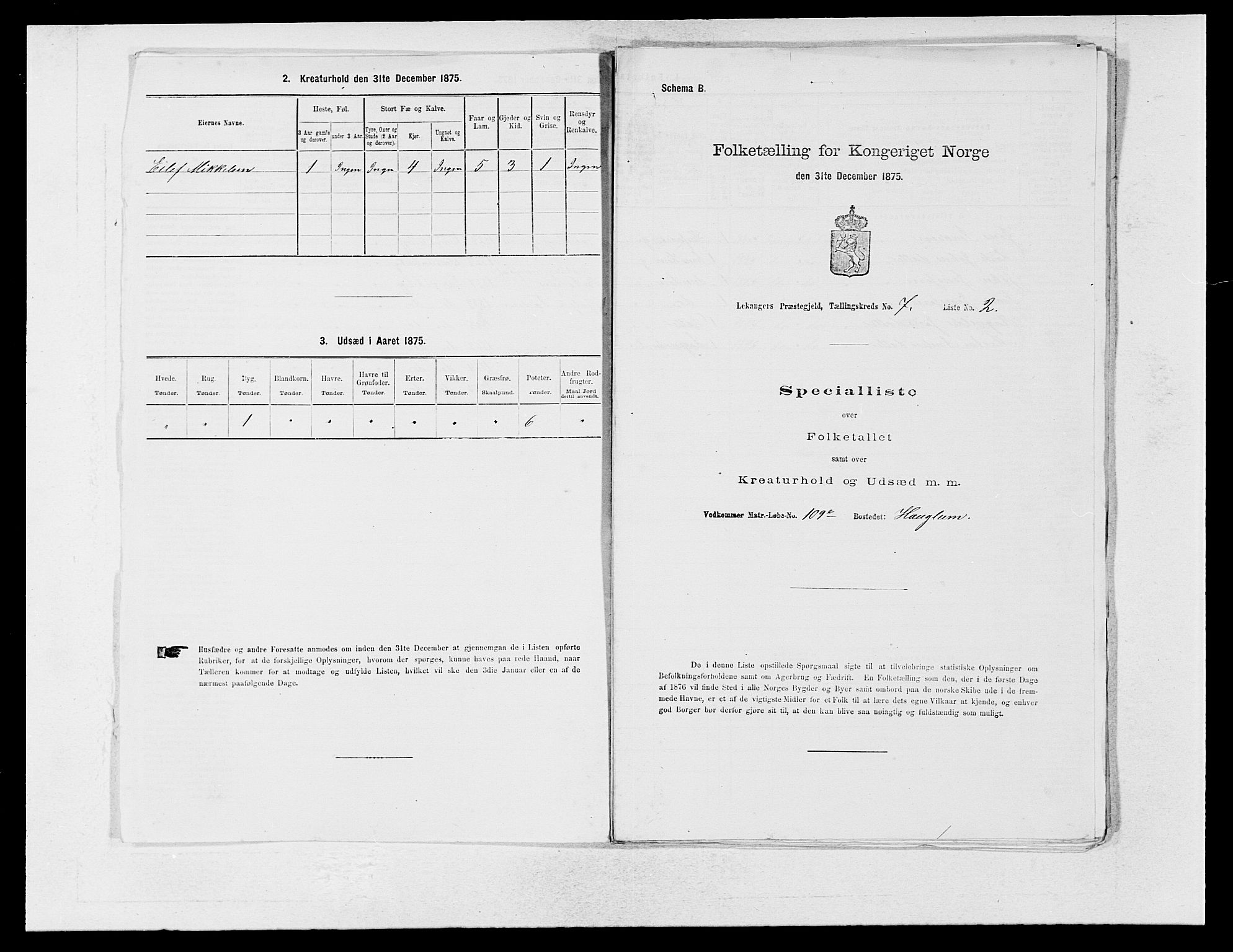 SAB, 1875 census for 1419P Leikanger, 1875, p. 540