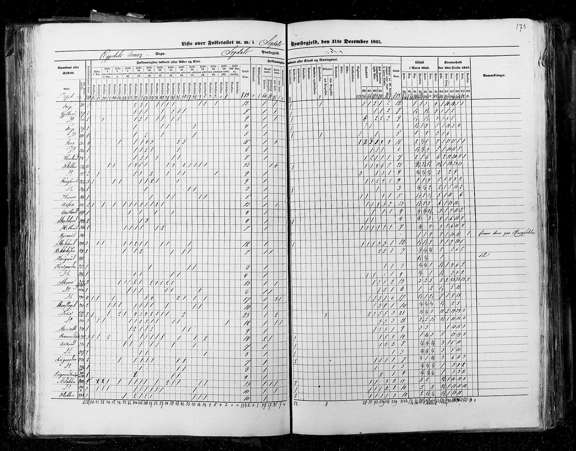 RA, Census 1845, vol. 4: Buskerud amt og Jarlsberg og Larvik amt, 1845, p. 175