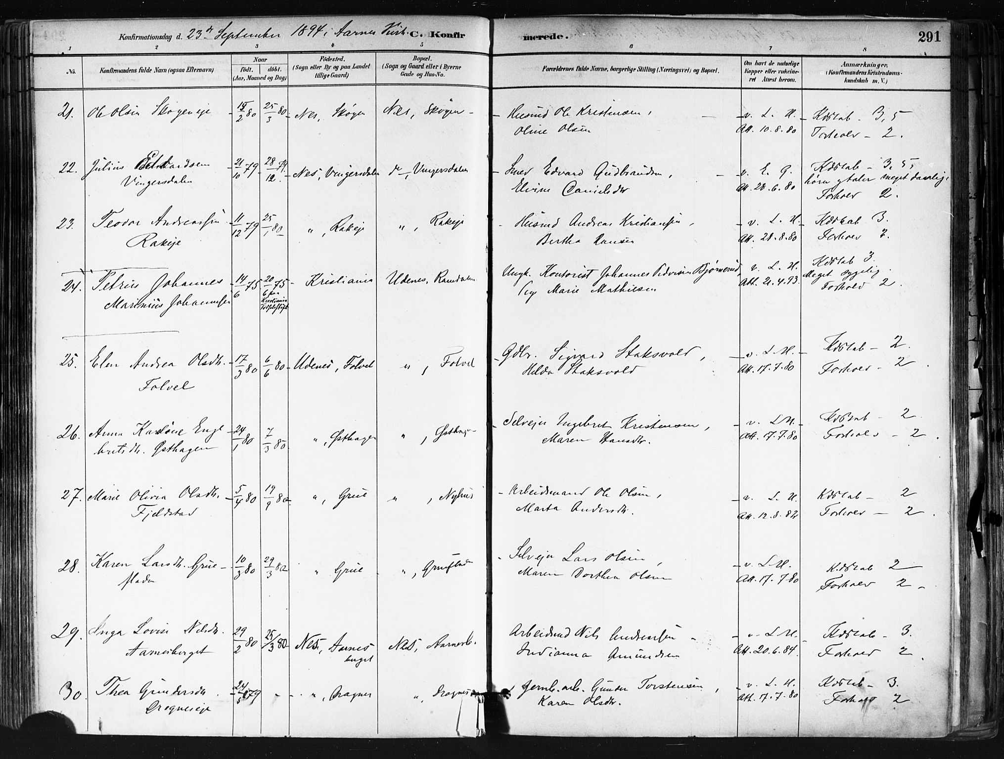 Nes prestekontor Kirkebøker, AV/SAO-A-10410/F/Fa/L0010: Parish register (official) no. I 10, 1883-1898, p. 291