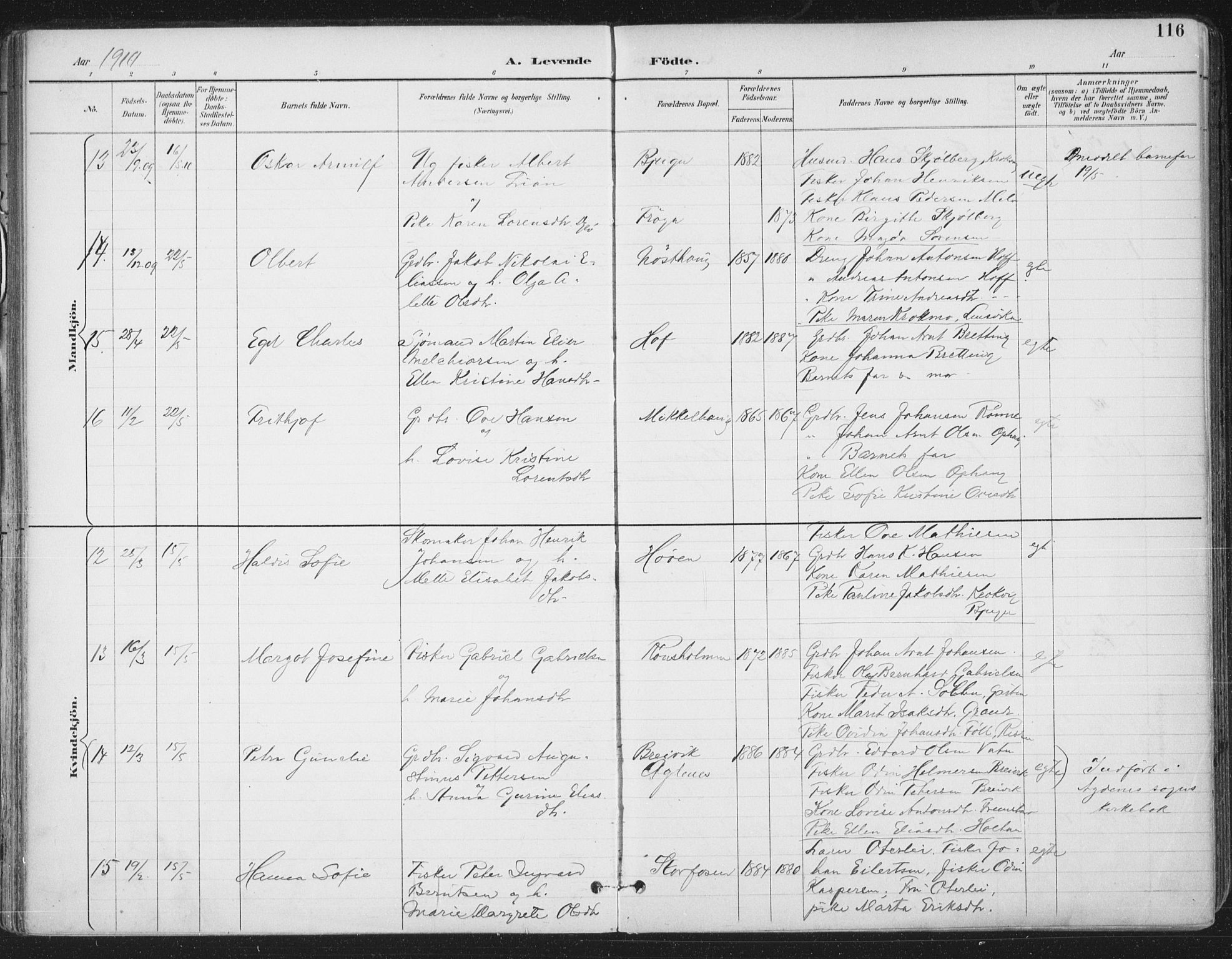 Ministerialprotokoller, klokkerbøker og fødselsregistre - Sør-Trøndelag, SAT/A-1456/659/L0743: Parish register (official) no. 659A13, 1893-1910, p. 116