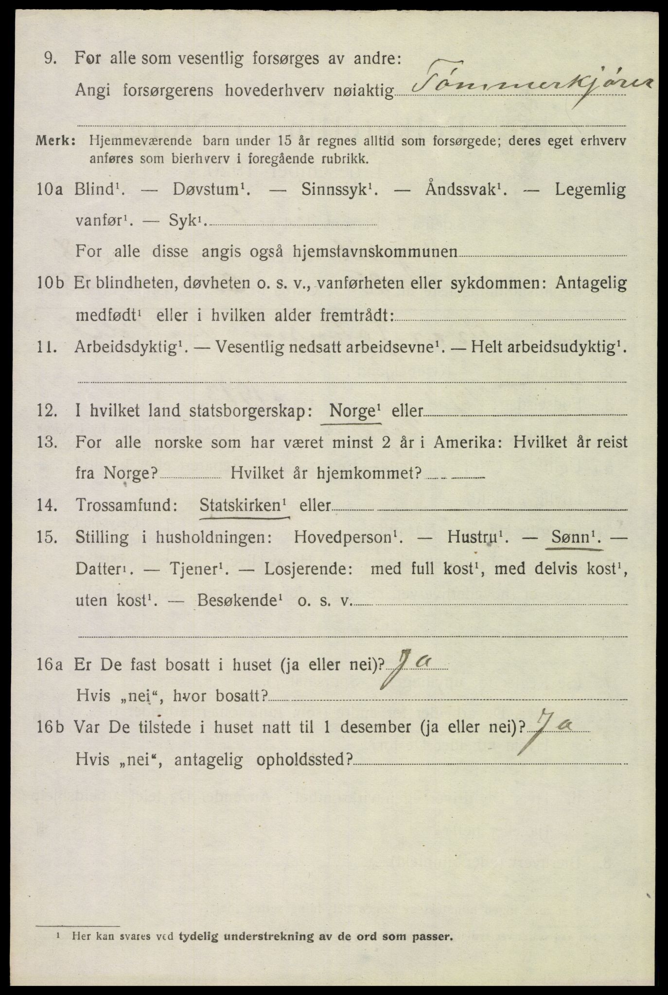 SAH, 1920 census for Trysil, 1920, p. 6538