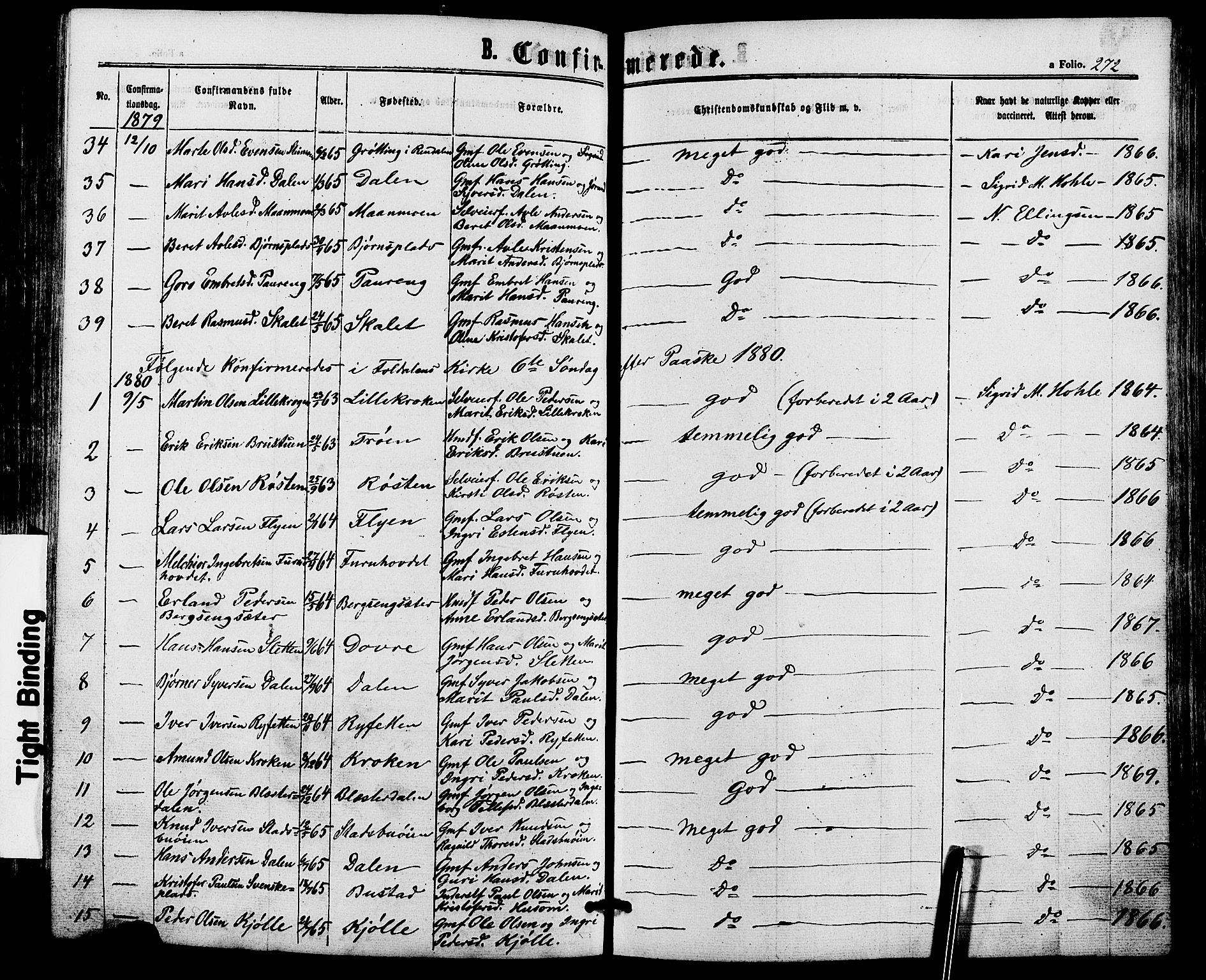 Alvdal prestekontor, SAH/PREST-060/H/Ha/Haa/L0001: Parish register (official) no. 1, 1863-1882, p. 272