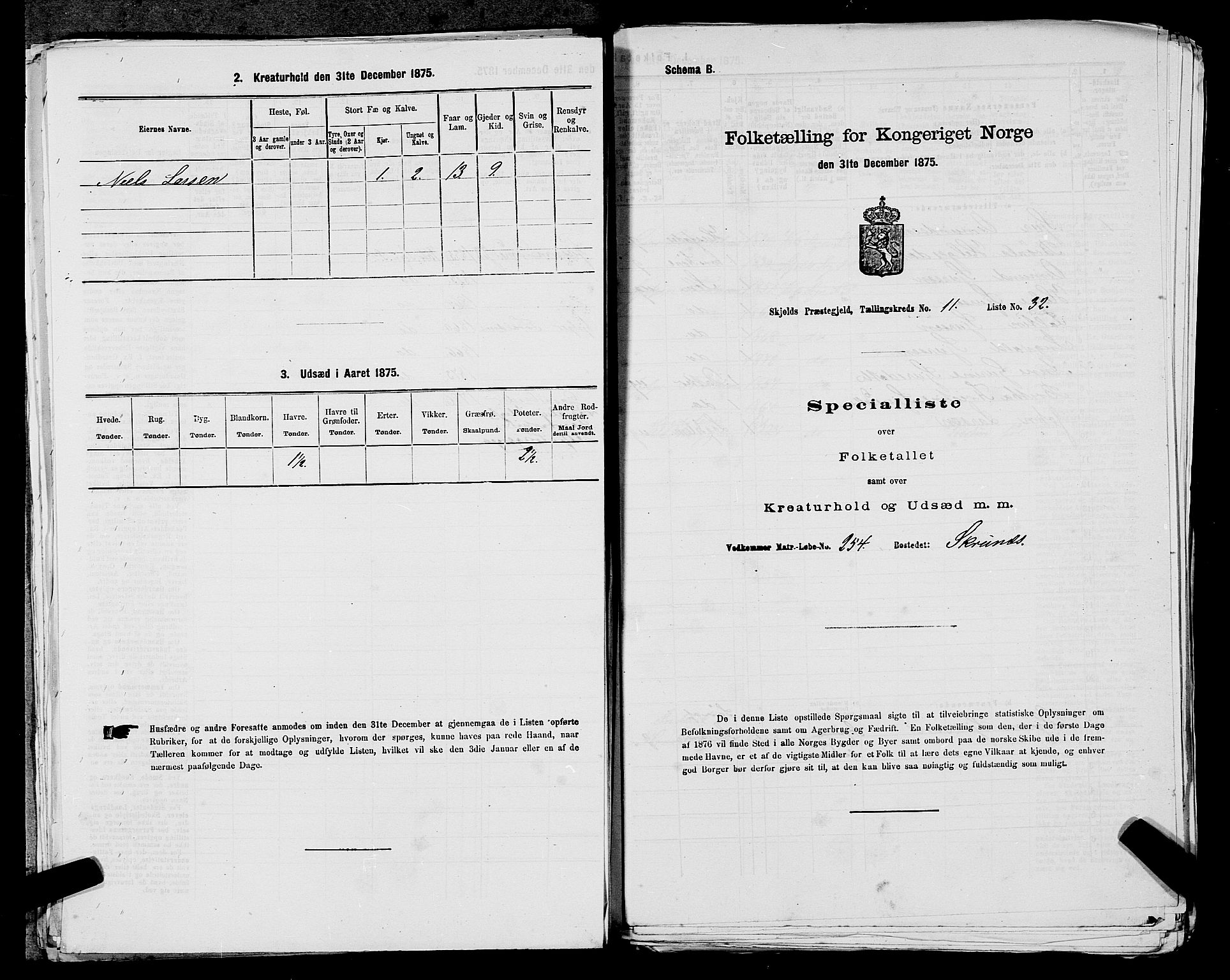 SAST, 1875 census for 1154P Skjold, 1875, p. 1169