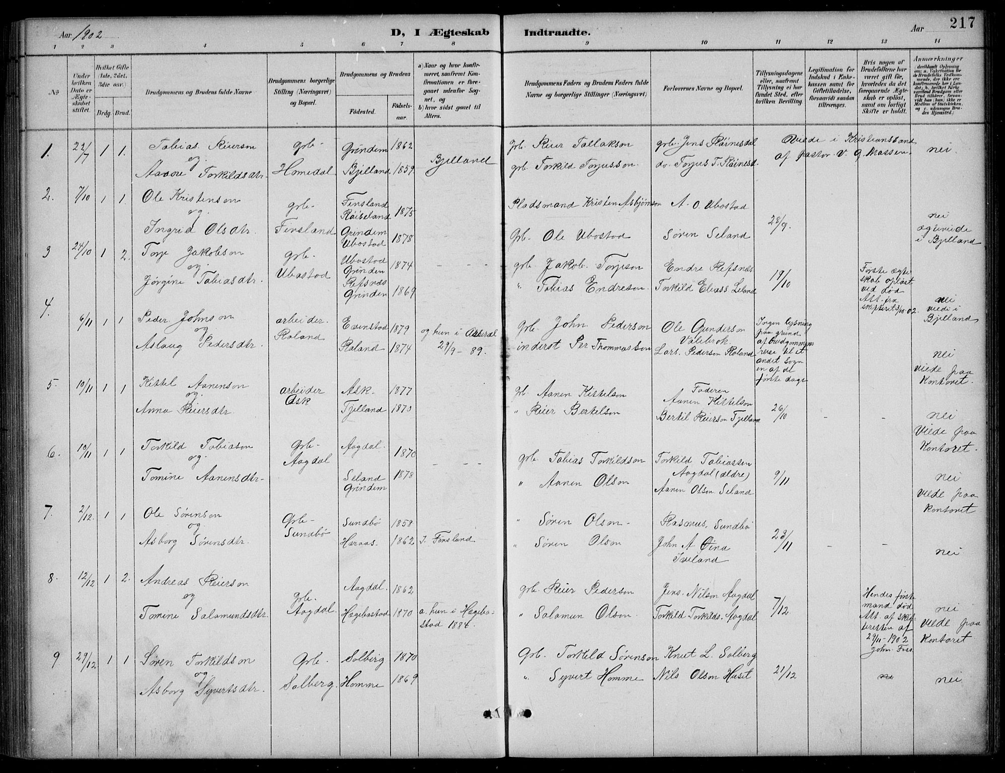 Bjelland sokneprestkontor, SAK/1111-0005/F/Fb/Fba/L0005: Parish register (copy) no. B 5, 1887-1923, p. 217