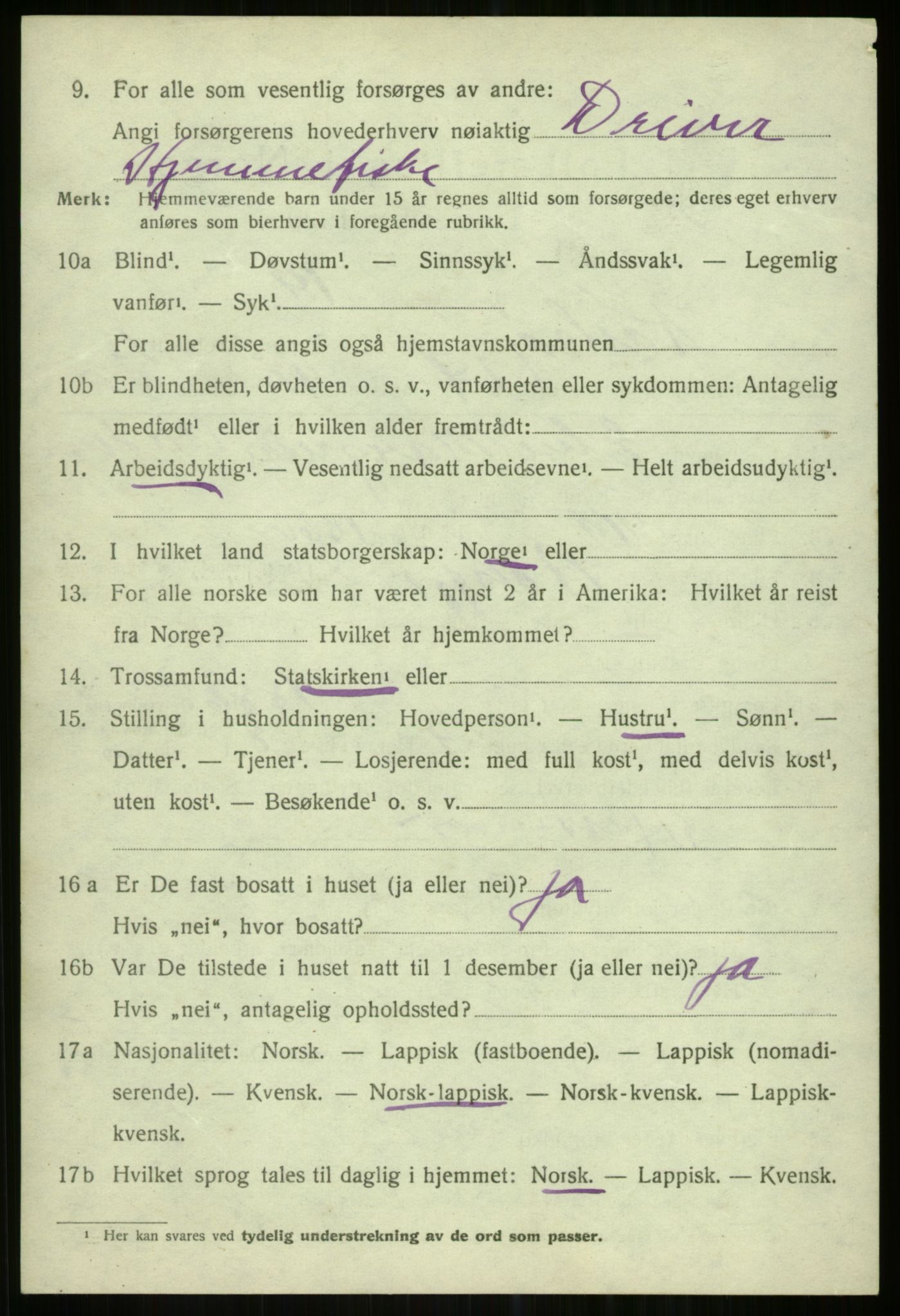 SATØ, 1920 census for Karlsøy, 1920, p. 5039