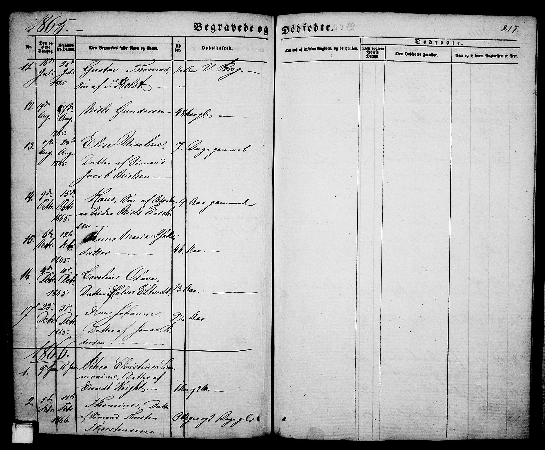 Porsgrunn kirkebøker , AV/SAKO-A-104/G/Ga/L0002: Parish register (copy) no. I 2, 1847-1877, p. 217