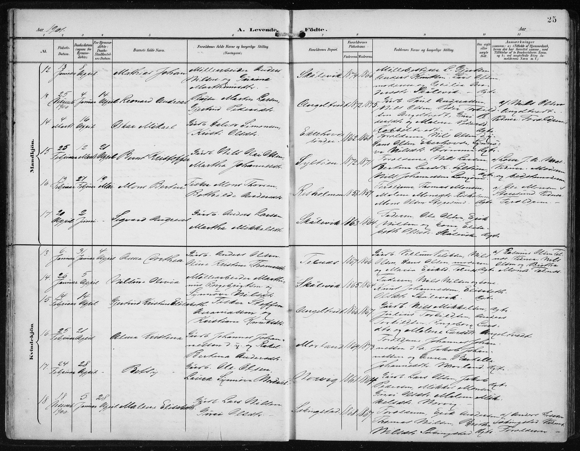 Fjell sokneprestembete, SAB/A-75301/H/Haa: Parish register (official) no. A  9, 1899-1910, p. 25