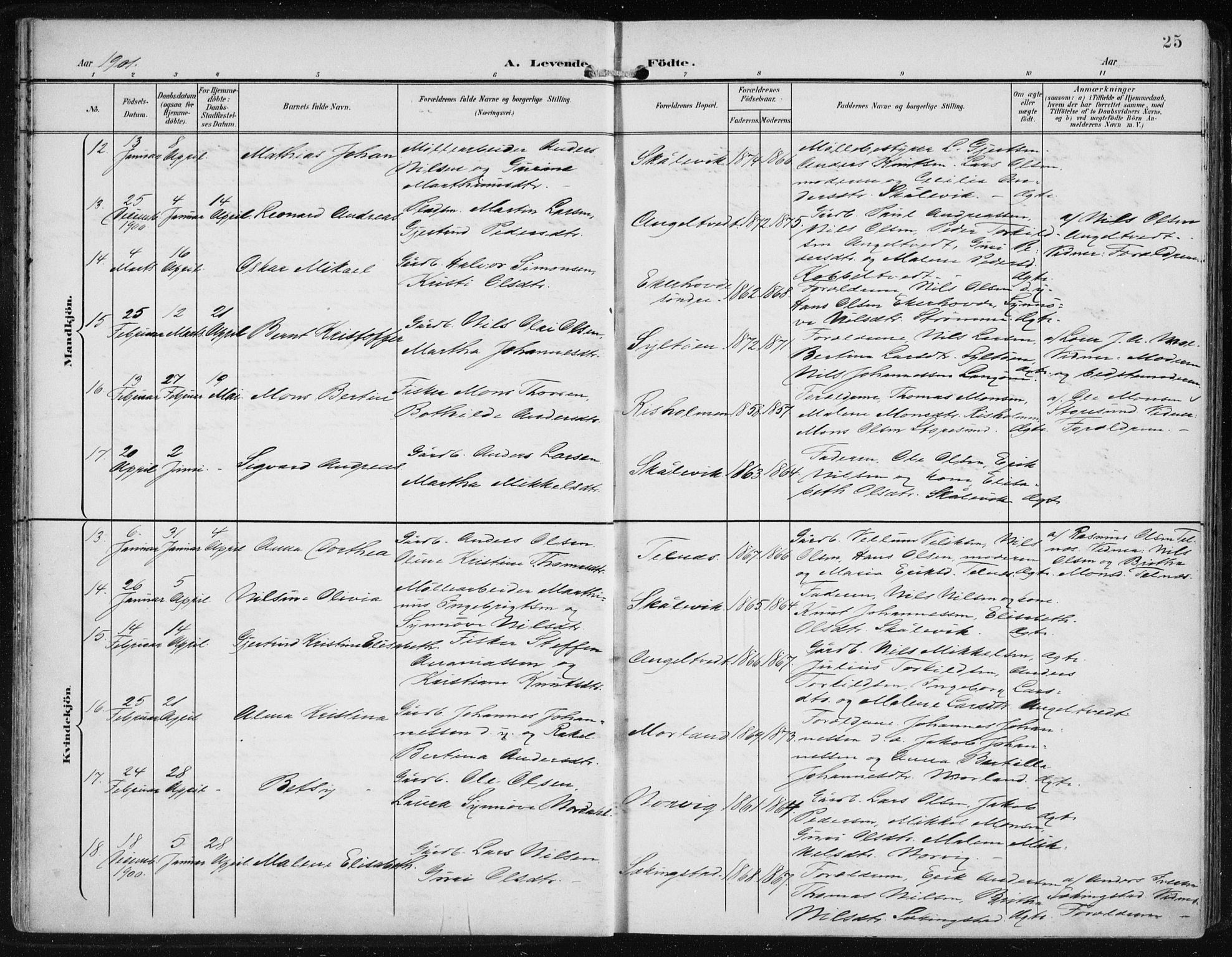 Fjell sokneprestembete, AV/SAB-A-75301/H/Haa: Parish register (official) no. A  9, 1899-1910, p. 25