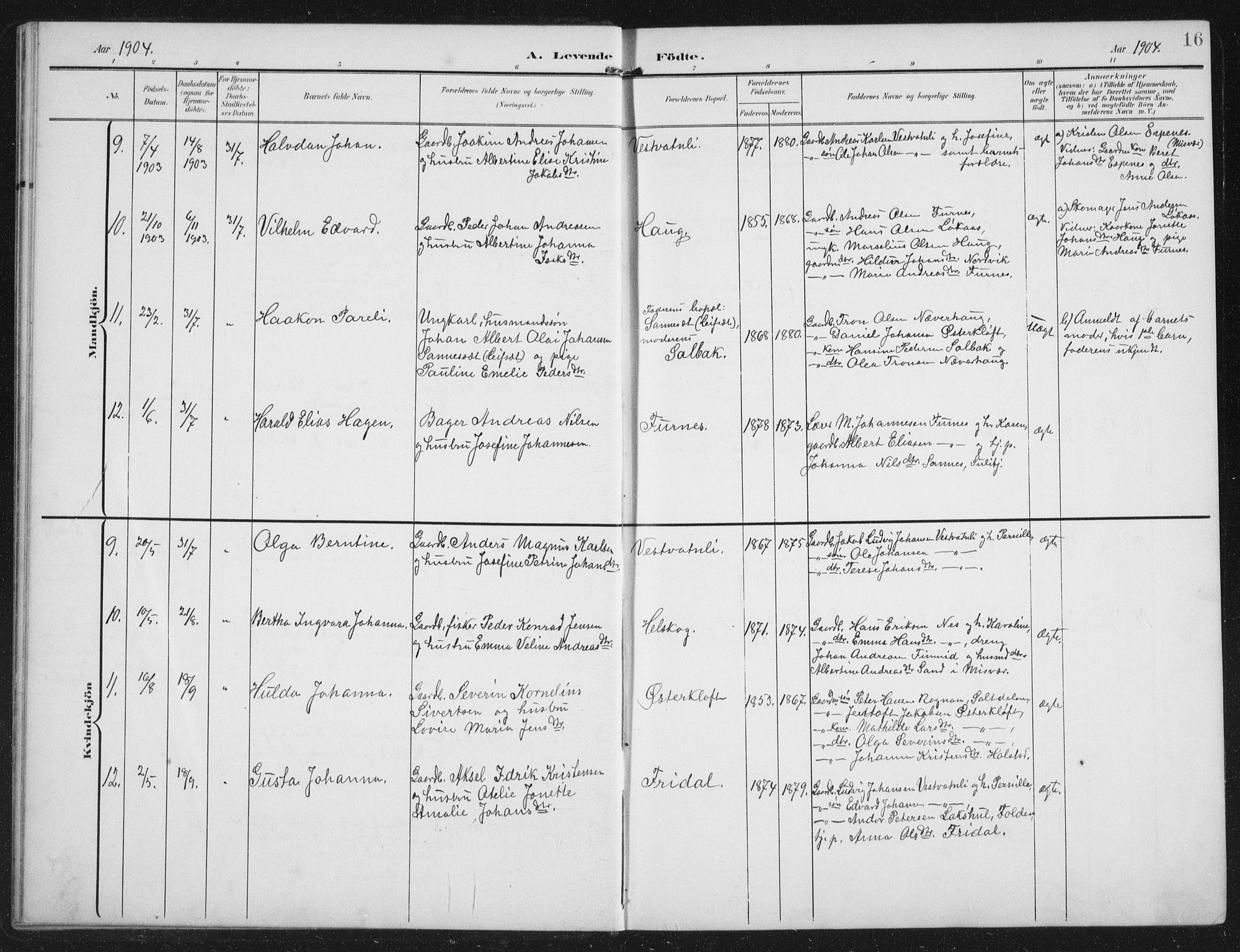 Ministerialprotokoller, klokkerbøker og fødselsregistre - Nordland, AV/SAT-A-1459/851/L0726: Parish register (copy) no. 851C01, 1902-1924, p. 16