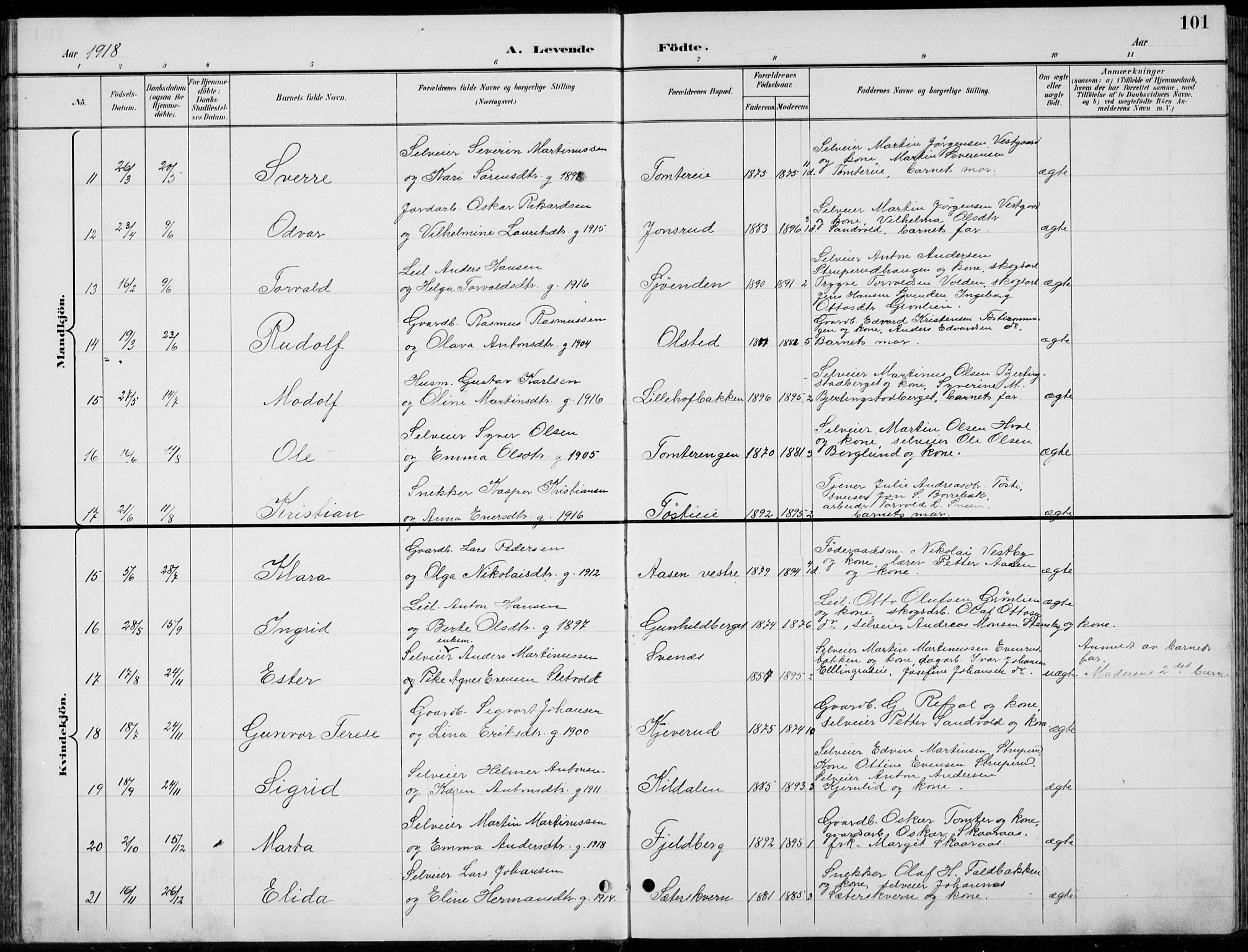 Romedal prestekontor, AV/SAH-PREST-004/L/L0013: Parish register (copy) no. 13, 1896-1937, p. 101