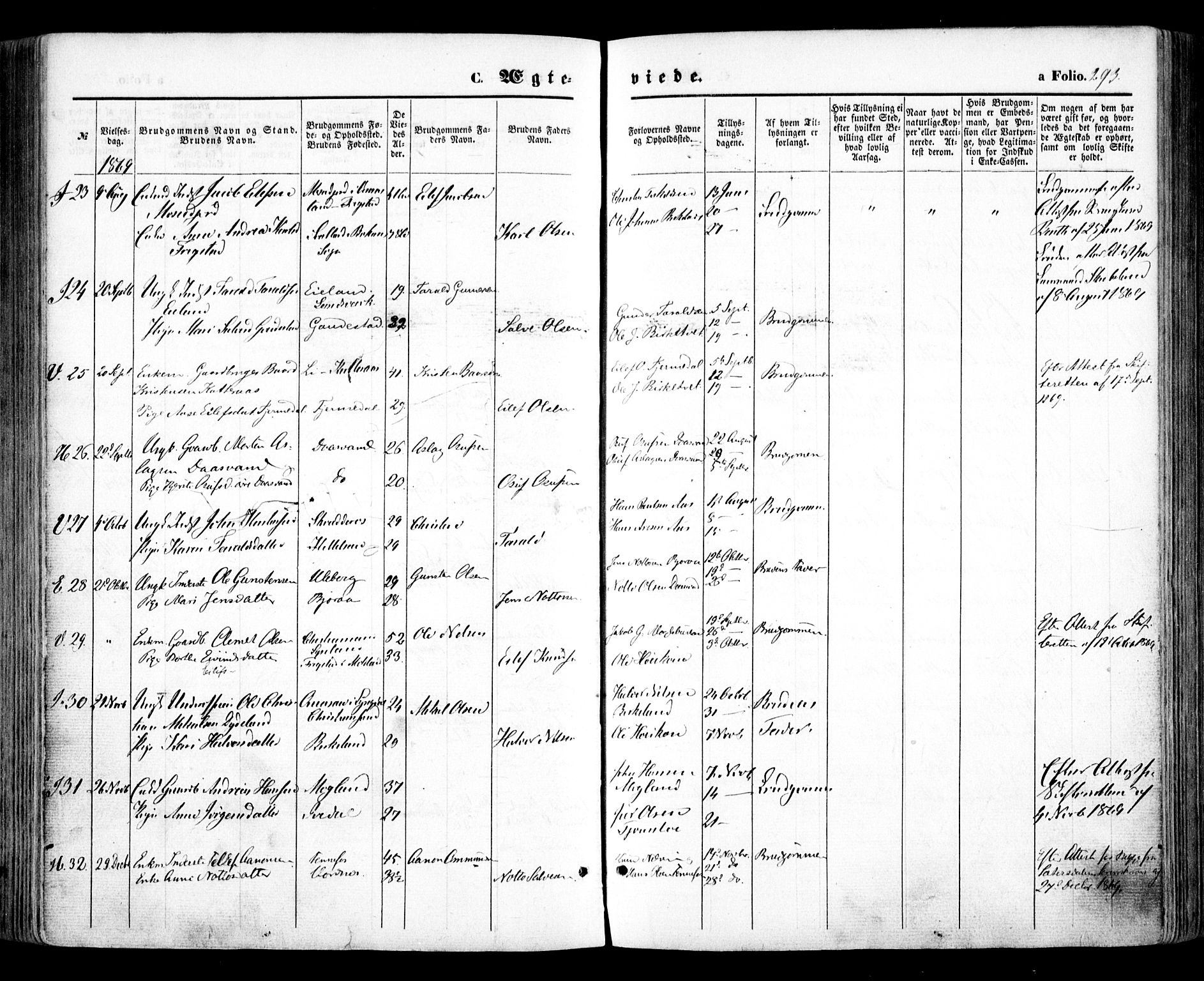 Evje sokneprestkontor, AV/SAK-1111-0008/F/Fa/Faa/L0006: Parish register (official) no. A 6, 1866-1884, p. 293