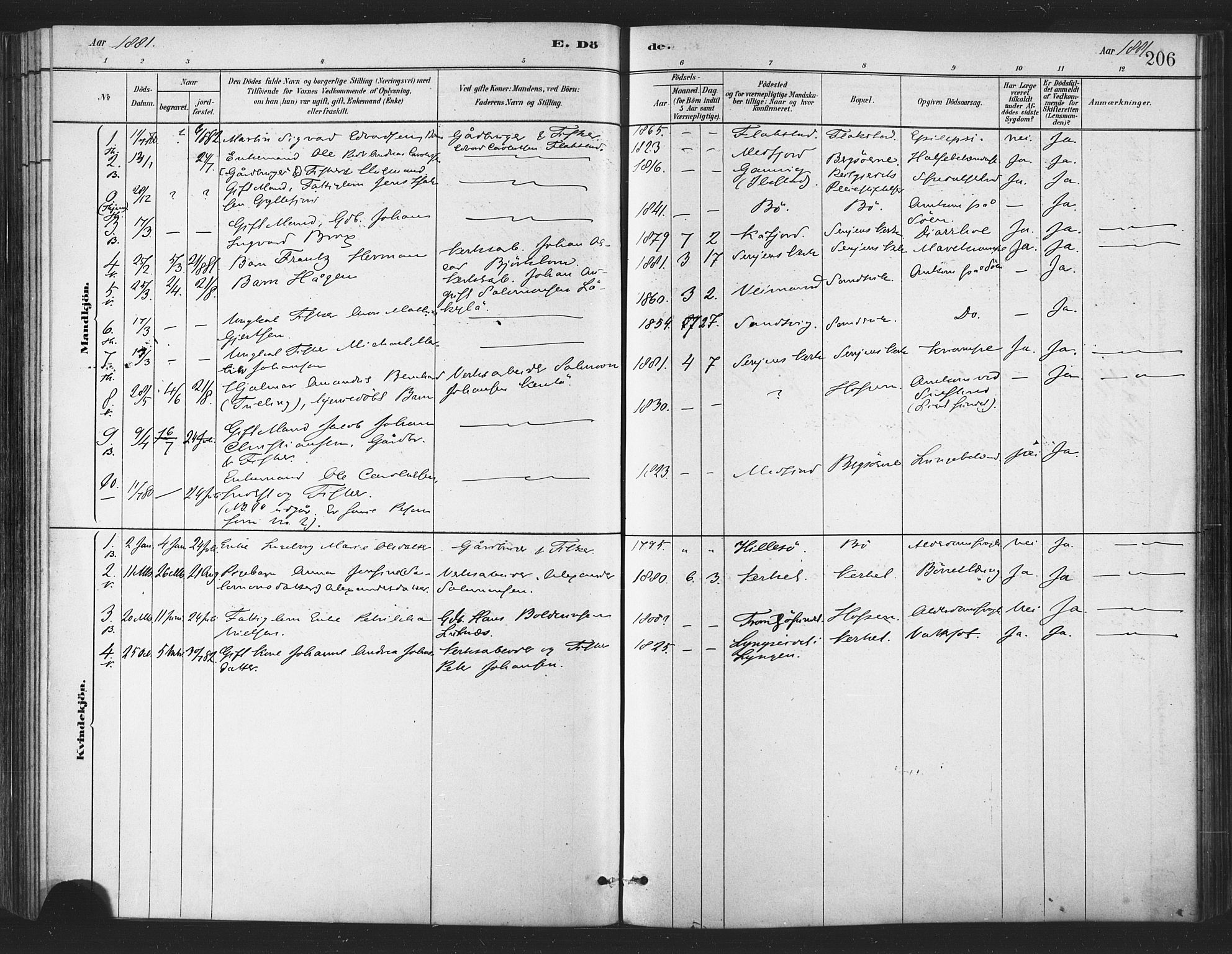 Berg sokneprestkontor, SATØ/S-1318/G/Ga/Gaa/L0004kirke: Parish register (official) no. 4, 1880-1894, p. 206