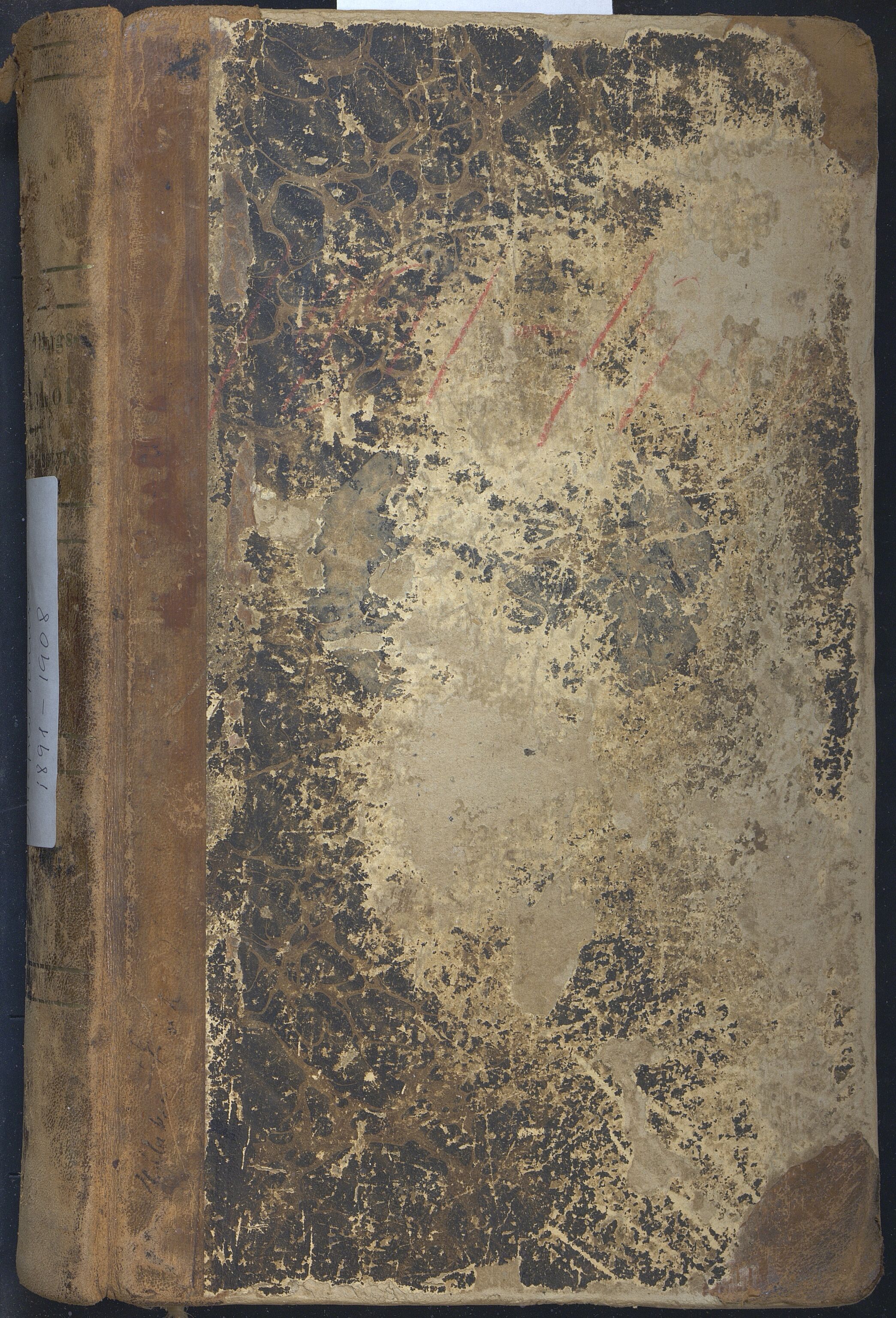 Hafslo kommune. Formannskapet, VLFK/K-14250.150/100/L0004: møtebok for kommunestyret og formannskapet i Hafslo kommune, 1891-1908