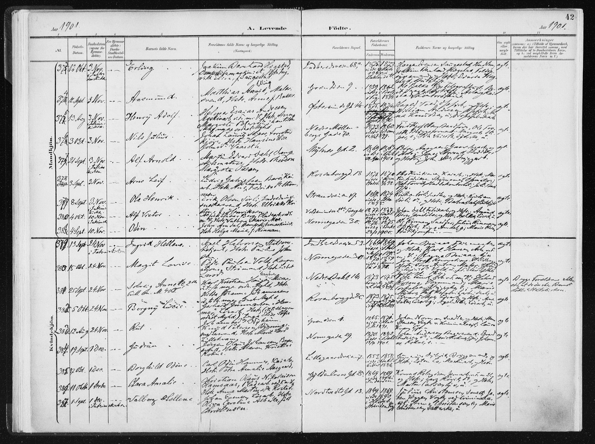 Ministerialprotokoller, klokkerbøker og fødselsregistre - Sør-Trøndelag, SAT/A-1456/604/L0199: Parish register (official) no. 604A20I, 1901-1906, p. 42