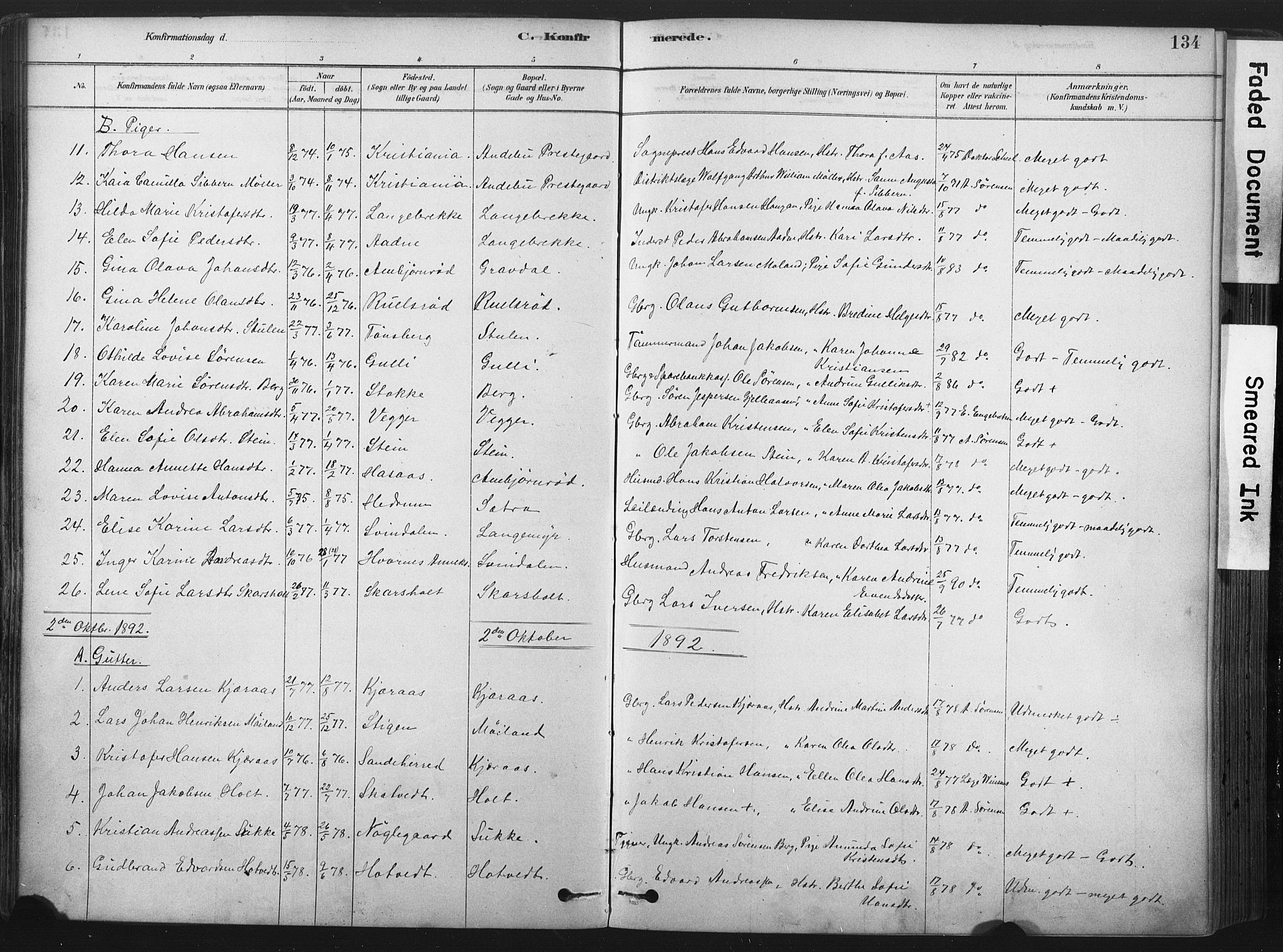 Andebu kirkebøker, SAKO/A-336/F/Fa/L0007: Parish register (official) no. 7, 1878-1899, p. 134
