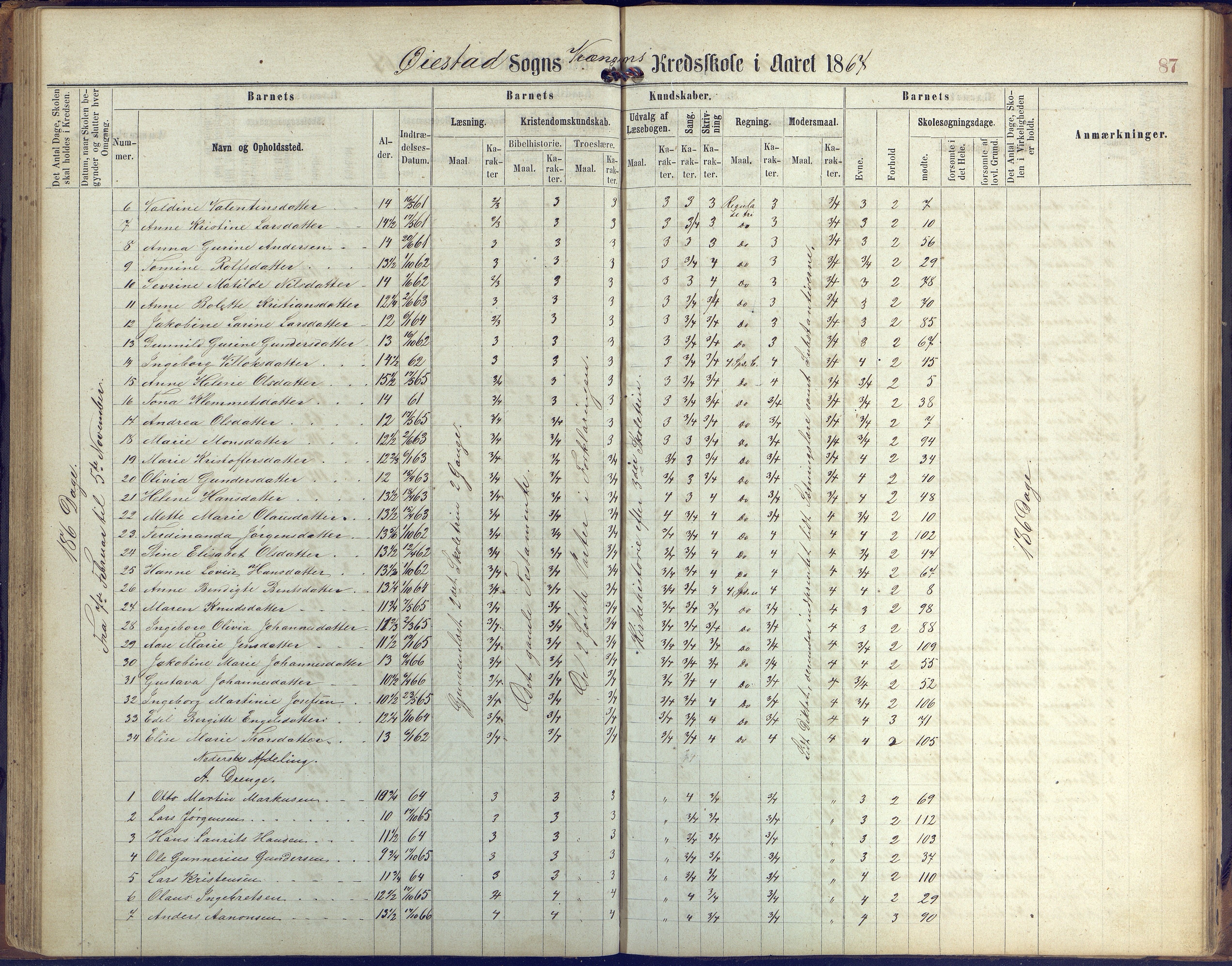 Øyestad kommune frem til 1979, AAKS/KA0920-PK/06/06K/L0005: Protokoll, 1863-1880, p. 87