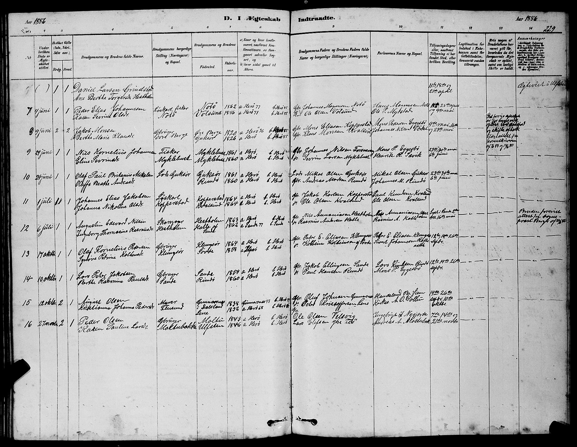 Ministerialprotokoller, klokkerbøker og fødselsregistre - Møre og Romsdal, AV/SAT-A-1454/507/L0081: Parish register (copy) no. 507C04, 1878-1898, p. 229