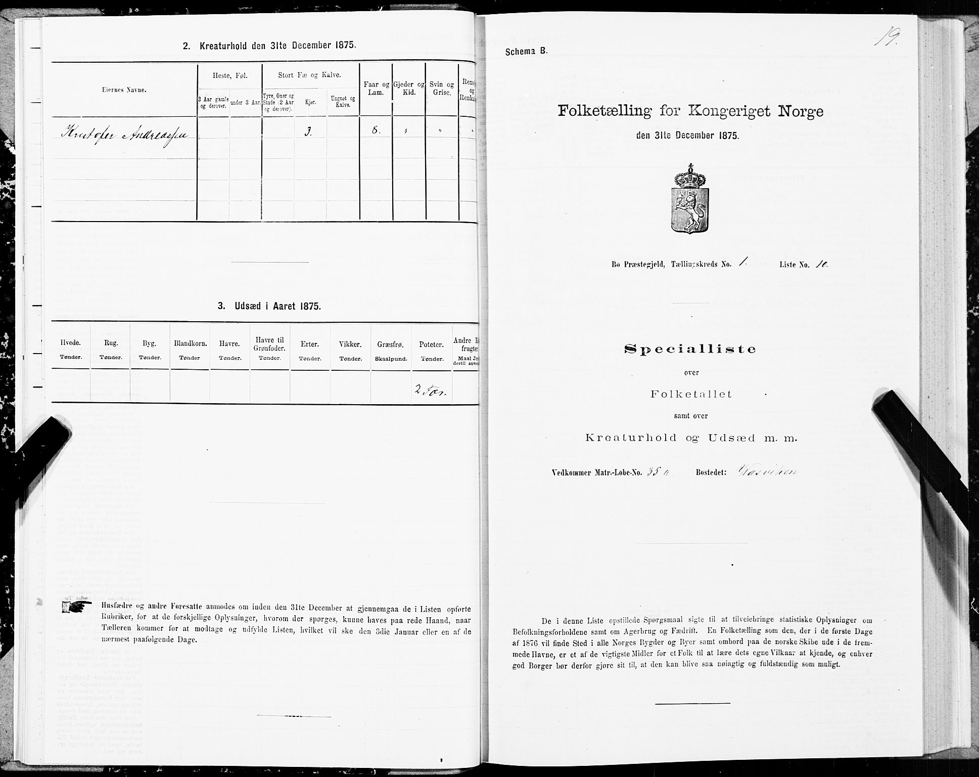 SAT, 1875 census for 1867P Bø, 1875, p. 1019