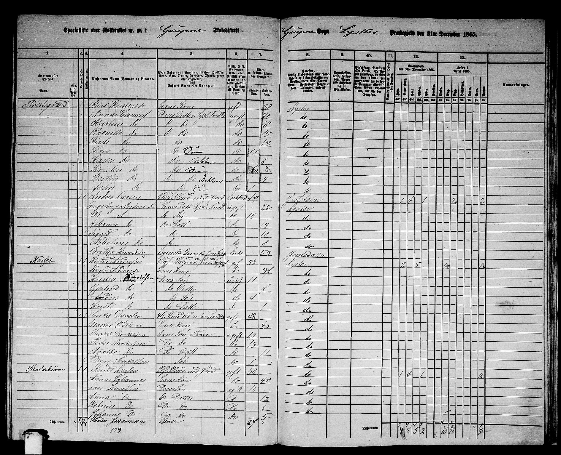 RA, 1865 census for Luster, 1865, p. 147