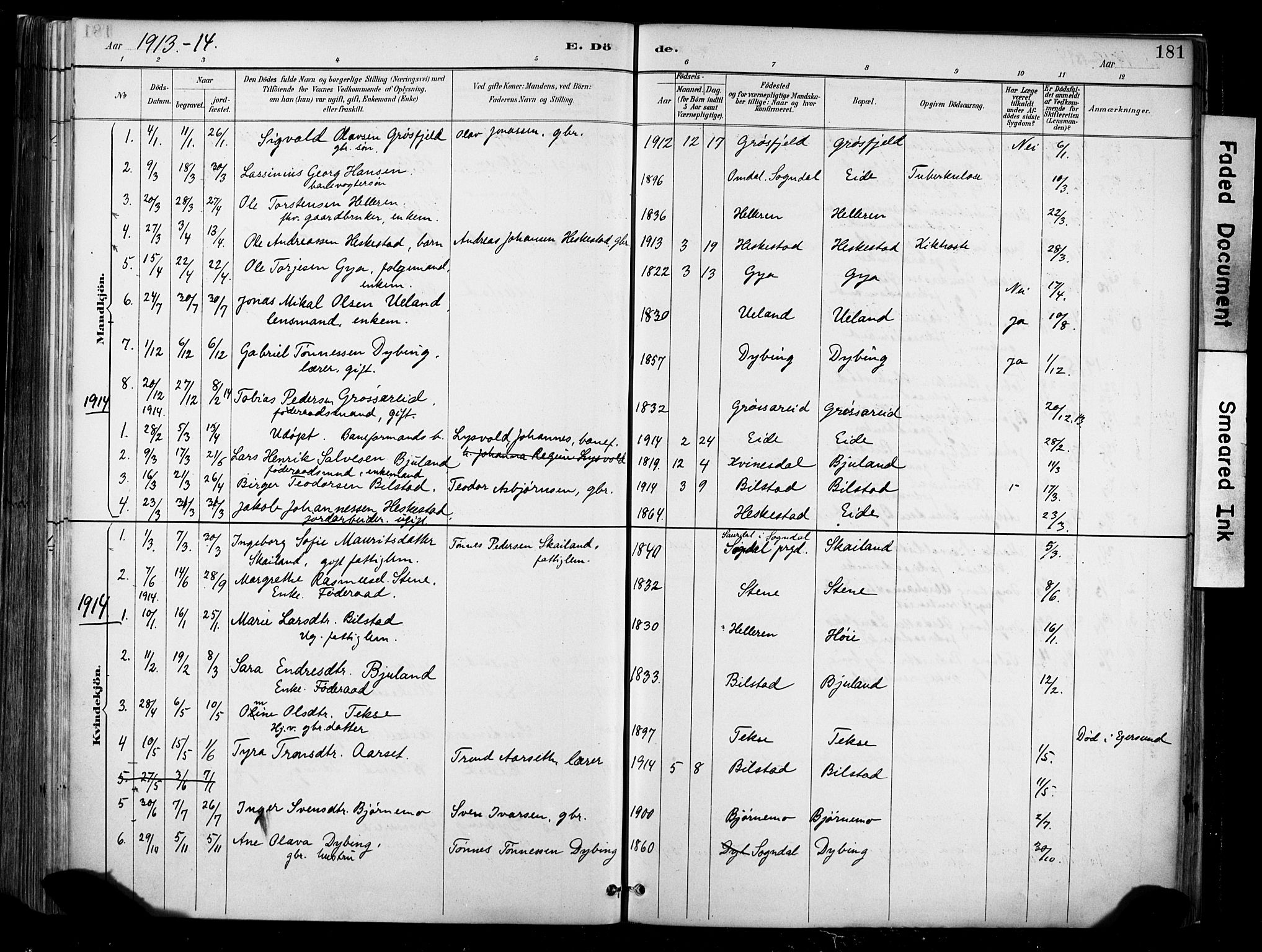 Lund sokneprestkontor, AV/SAST-A-101809/S06/L0012: Parish register (official) no. A 11, 1887-1921, p. 181