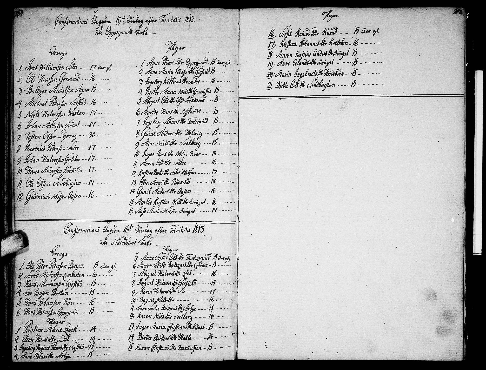 Nesodden prestekontor Kirkebøker, SAO/A-10013/F/Fa/L0005: Parish register (official) no. I 5, 1793-1814, p. 101-102