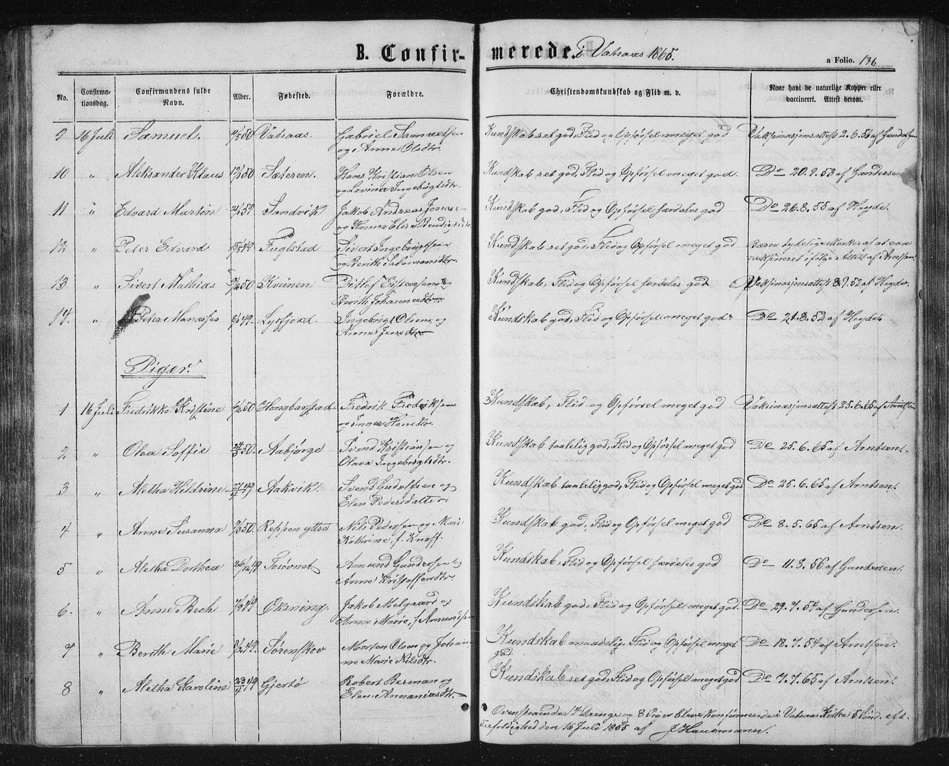 Ministerialprotokoller, klokkerbøker og fødselsregistre - Nordland, AV/SAT-A-1459/810/L0158: Parish register (copy) no. 810C02 /1, 1863-1883, p. 136