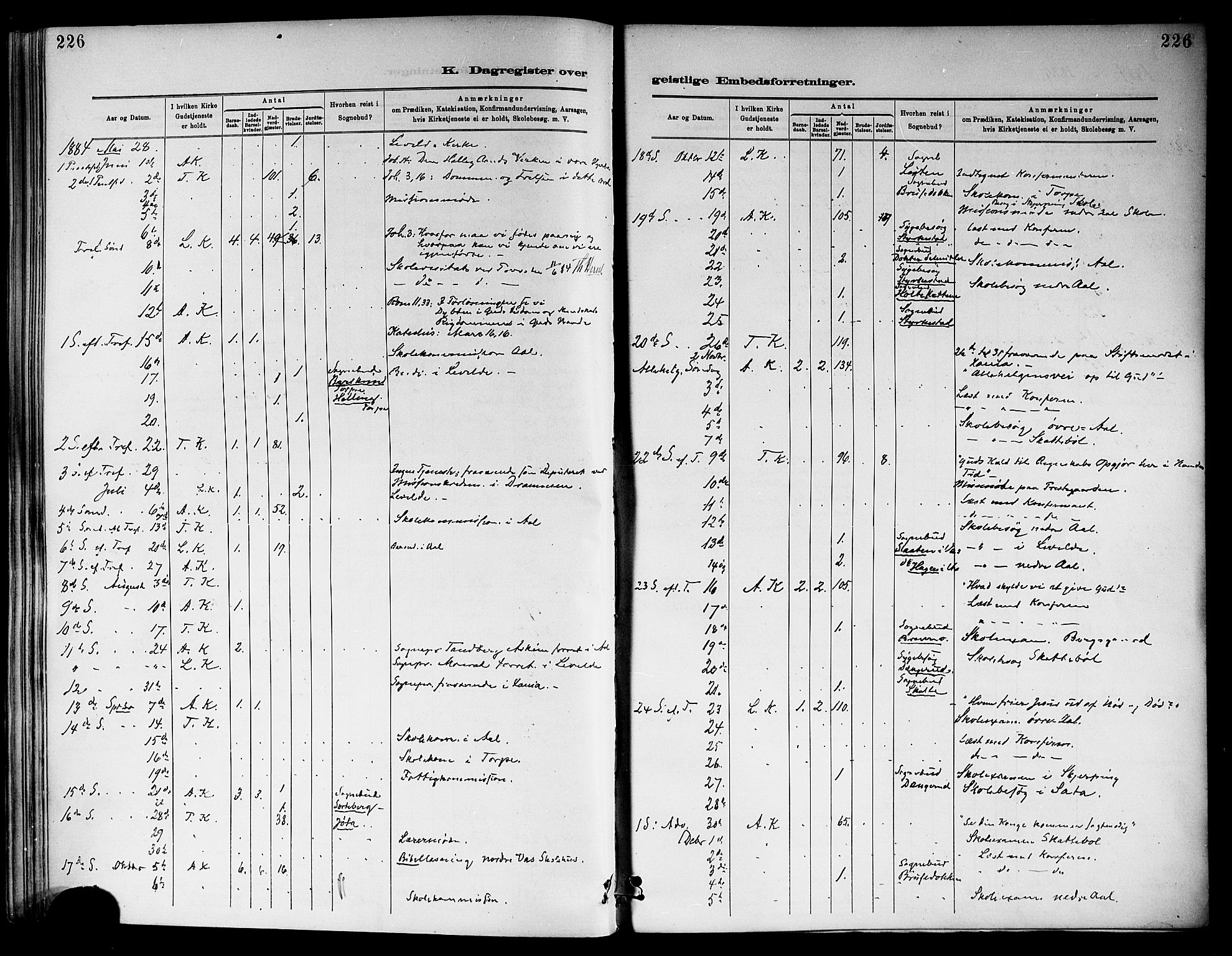 Ål kirkebøker, SAKO/A-249/F/Fa/L0008: Parish register (official) no. I 8, 1882-1896, p. 226
