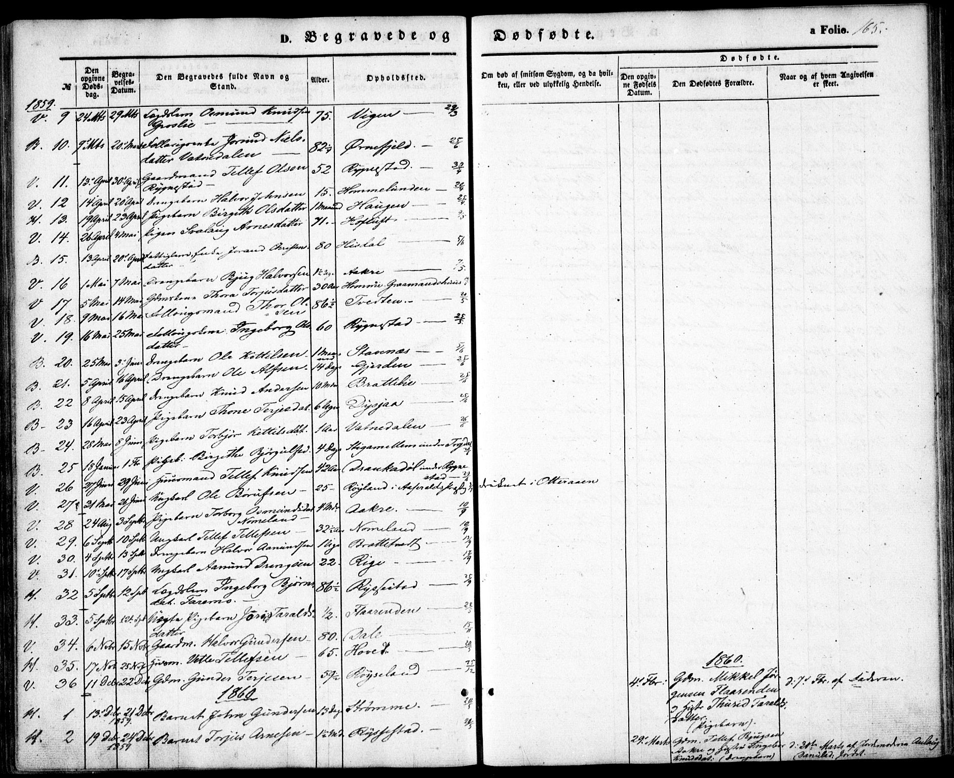 Valle sokneprestkontor, SAK/1111-0044/F/Fa/Fac/L0007: Parish register (official) no. A 7, 1854-1868, p. 165