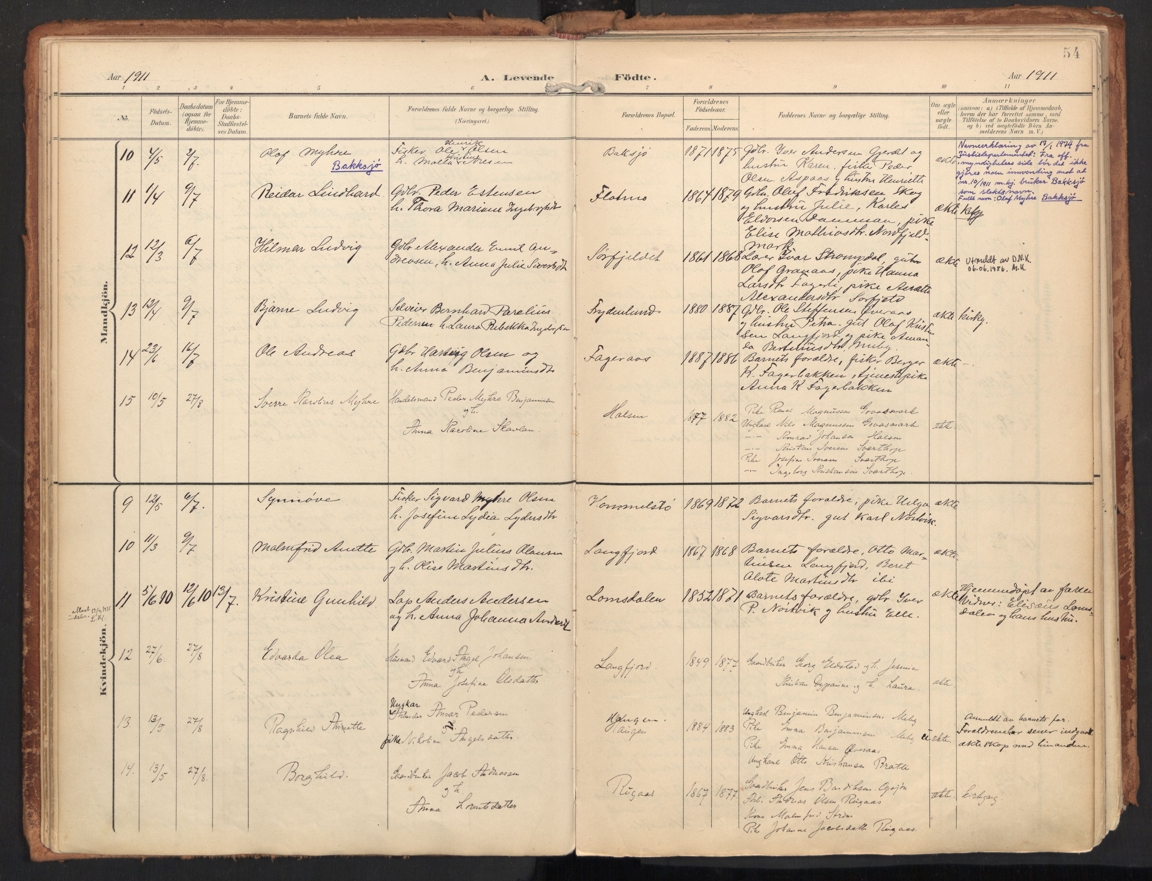 Ministerialprotokoller, klokkerbøker og fødselsregistre - Nordland, AV/SAT-A-1459/814/L0227: Parish register (official) no. 814A08, 1899-1920, p. 54